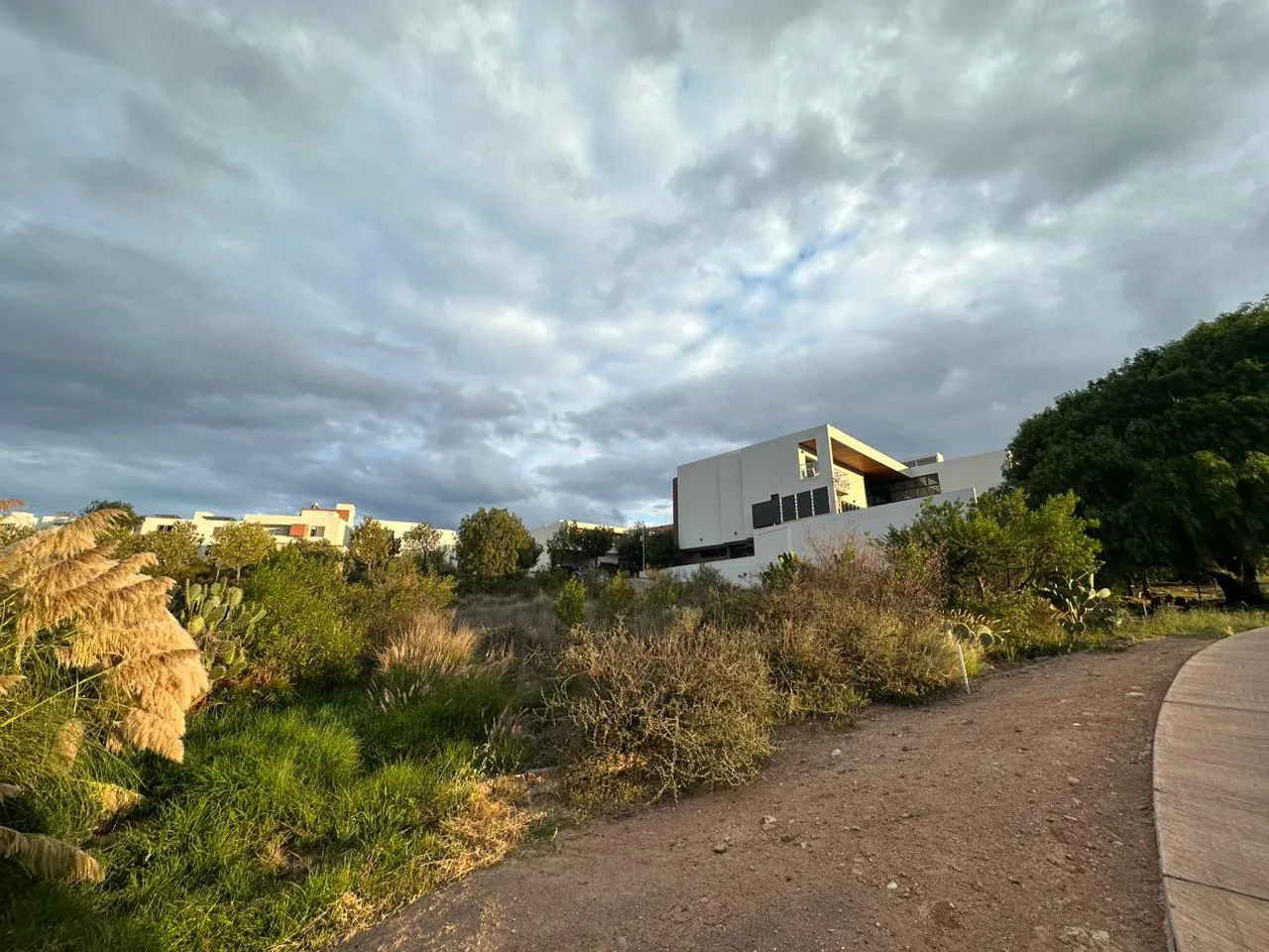 Terreno Spot2
