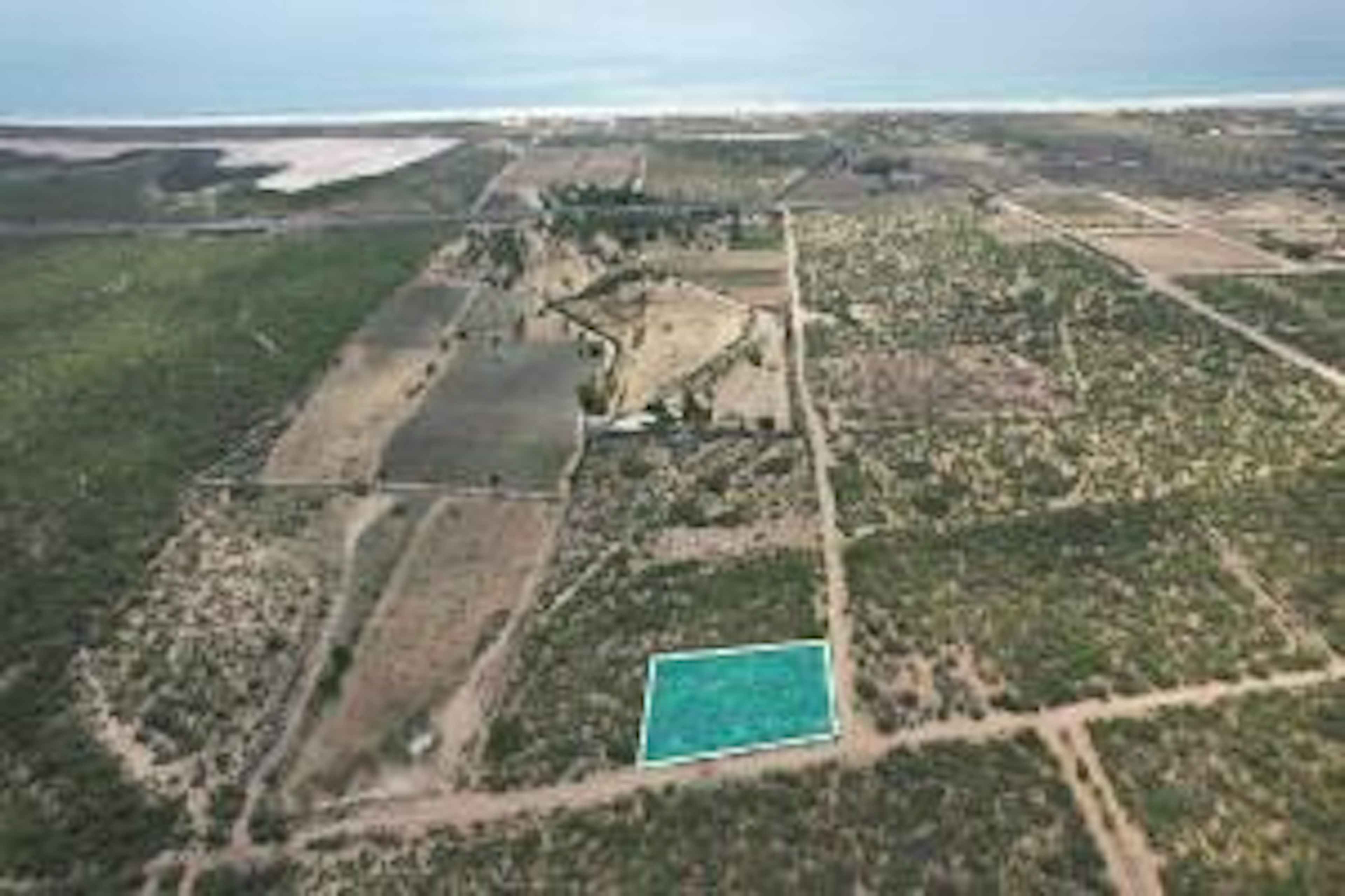 Plutarco Elias Calles