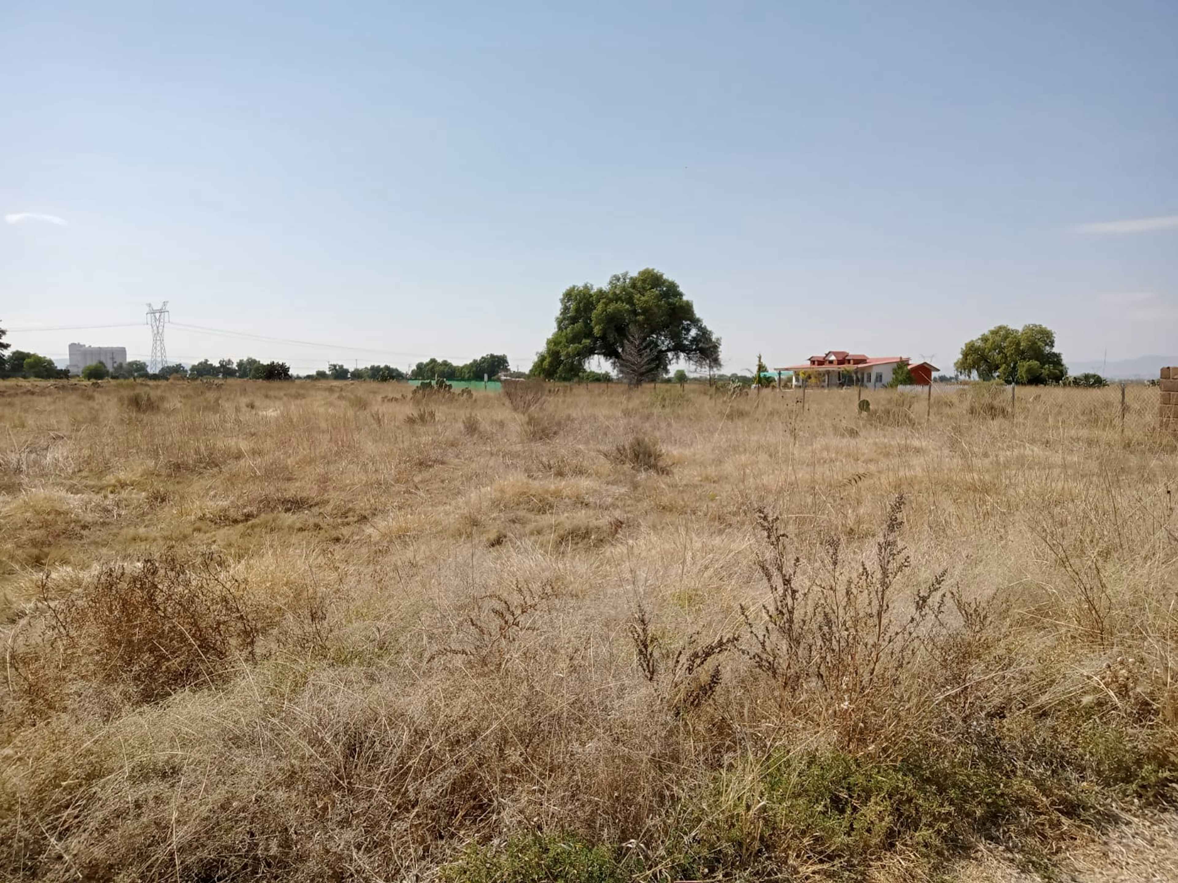 Boulevar Nemorio Avila Lozano