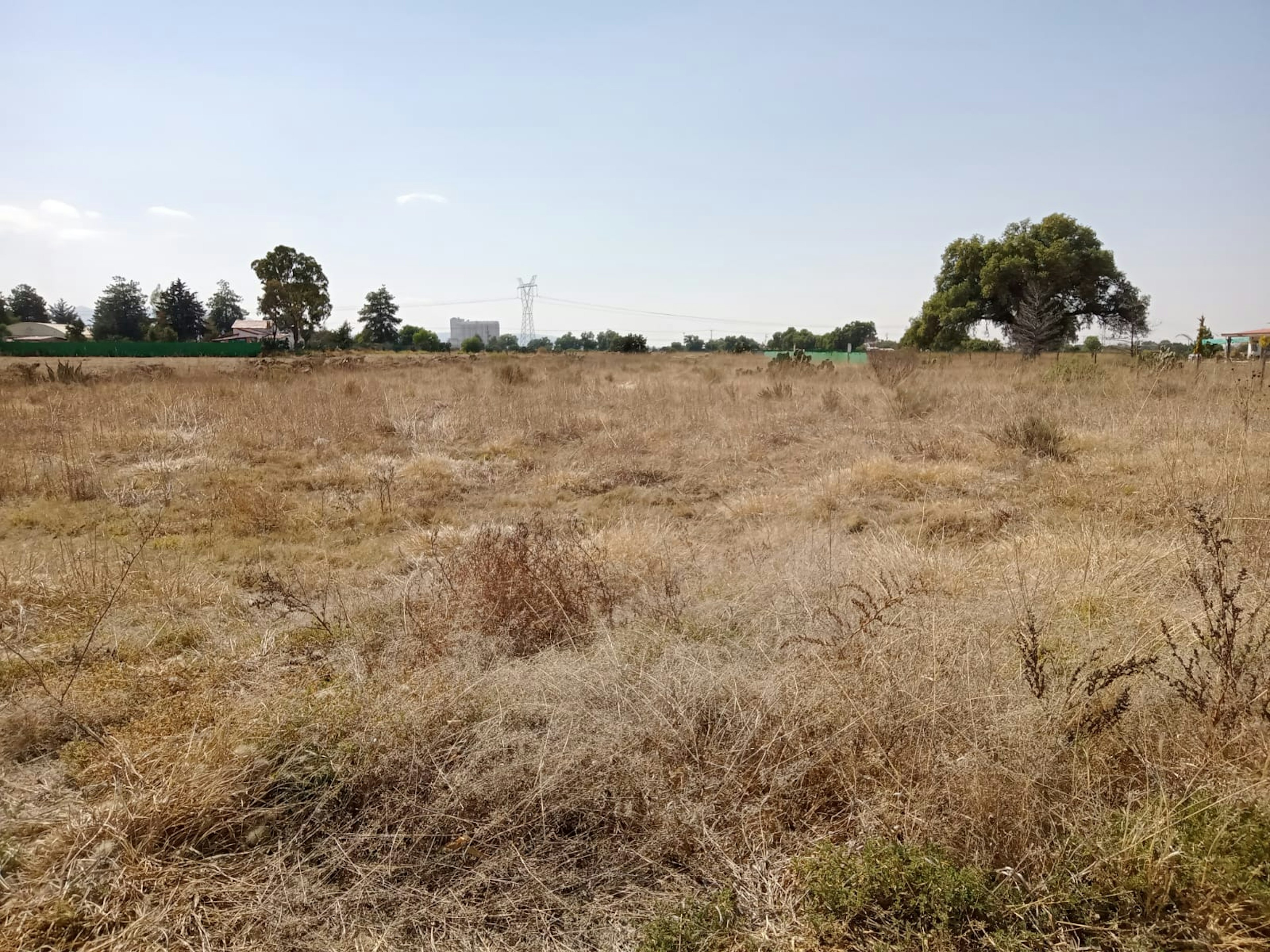 Terreno amplio y despejado, con vegetación seca y esporádica. Ideal para desarrollo inmobiliario, ubicado en una zona con construcciones aledañas y acceso a servicios.