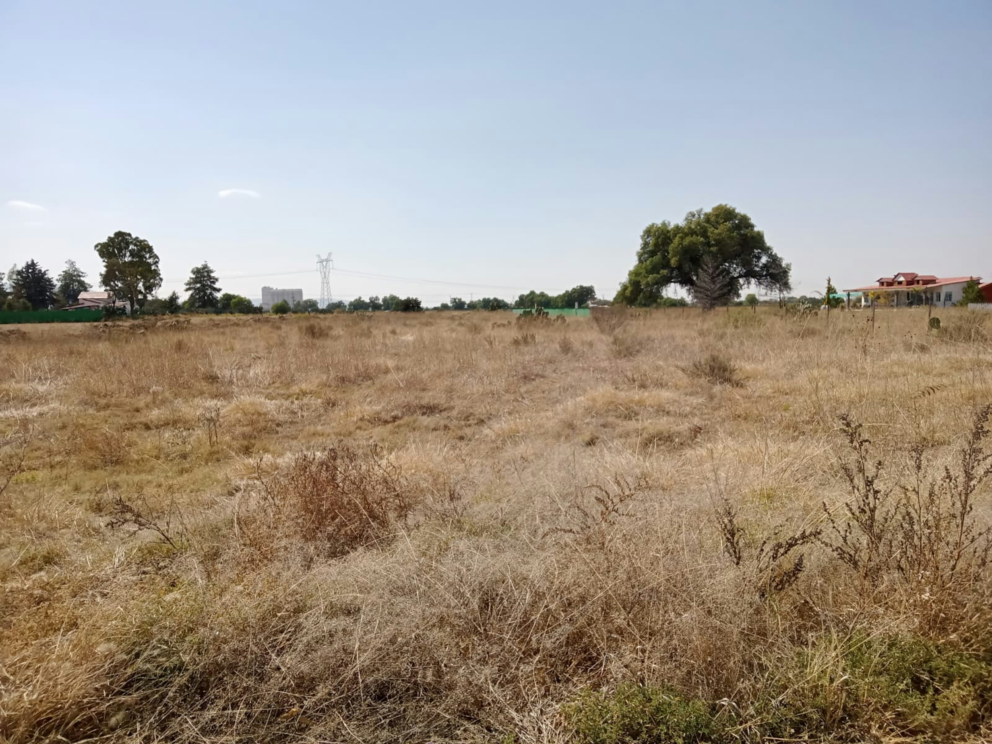 Terreno amplio y despejado con vegetación seca y un árbol grande al fondo. Adecuado para desarrollo inmobiliario, rodeado de infraestructura existente.