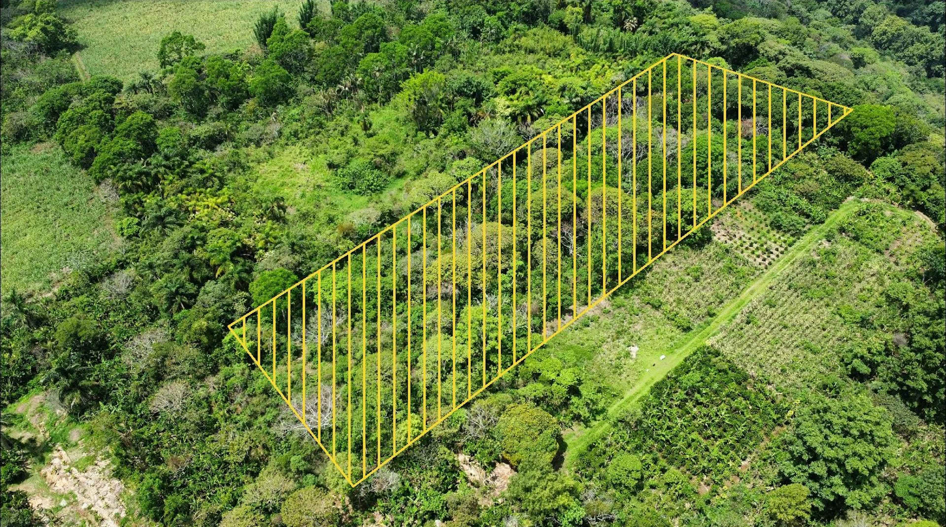 Terreno 9,830 M2 - Monte Salas, Ver