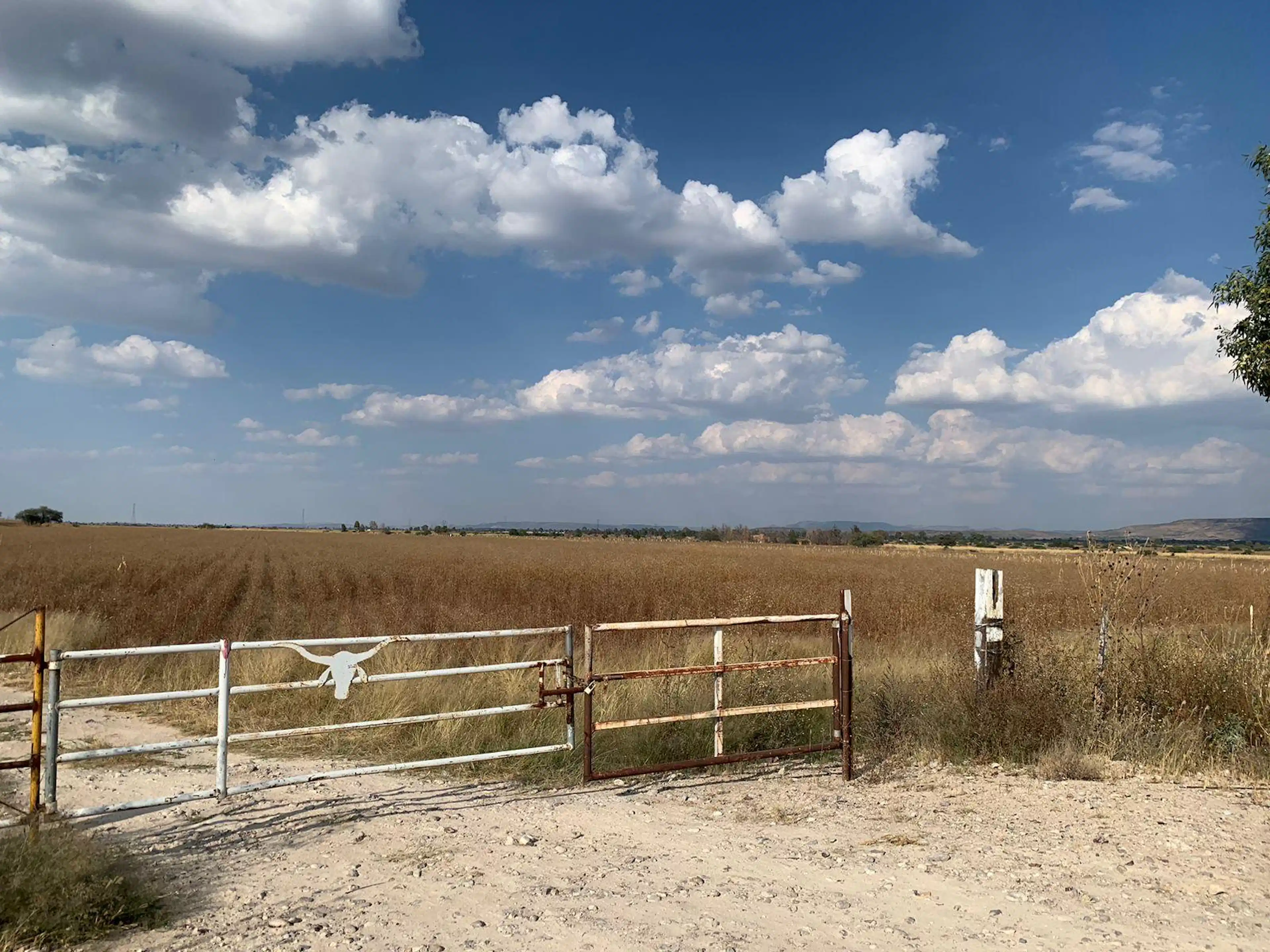 Terreno En Ejido Santa Rosa, Aguascalientes