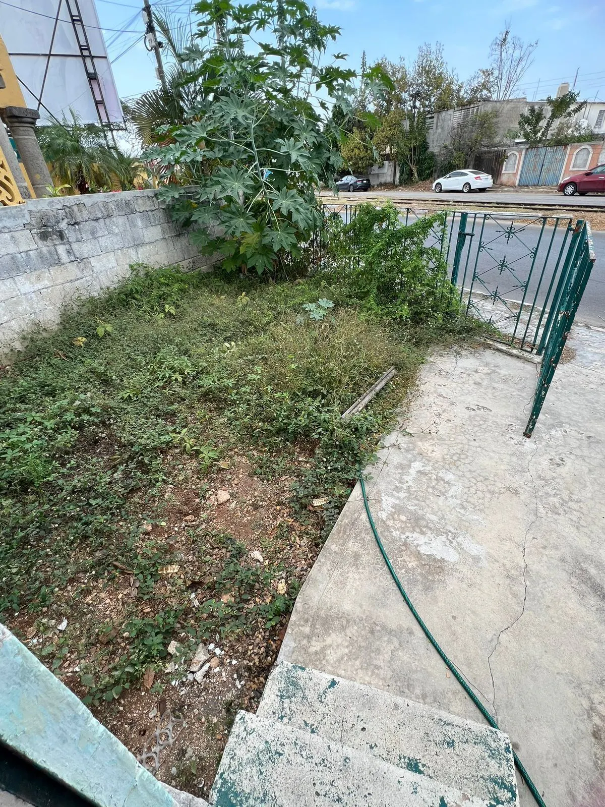 Terreno Spot2