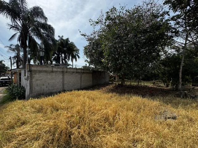 Terreno Spot2