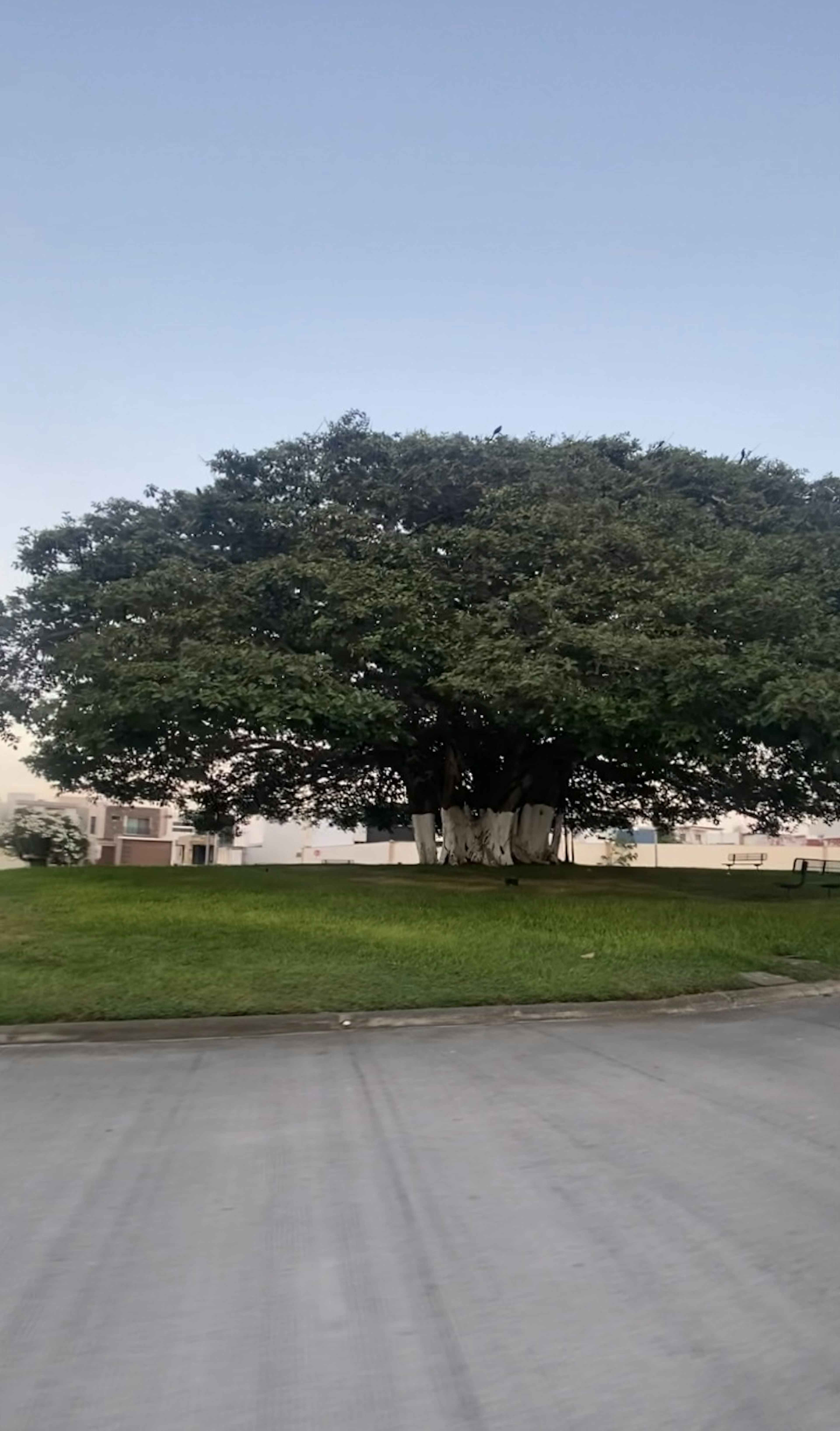 Boulevard Lomas De La Rioja S/n