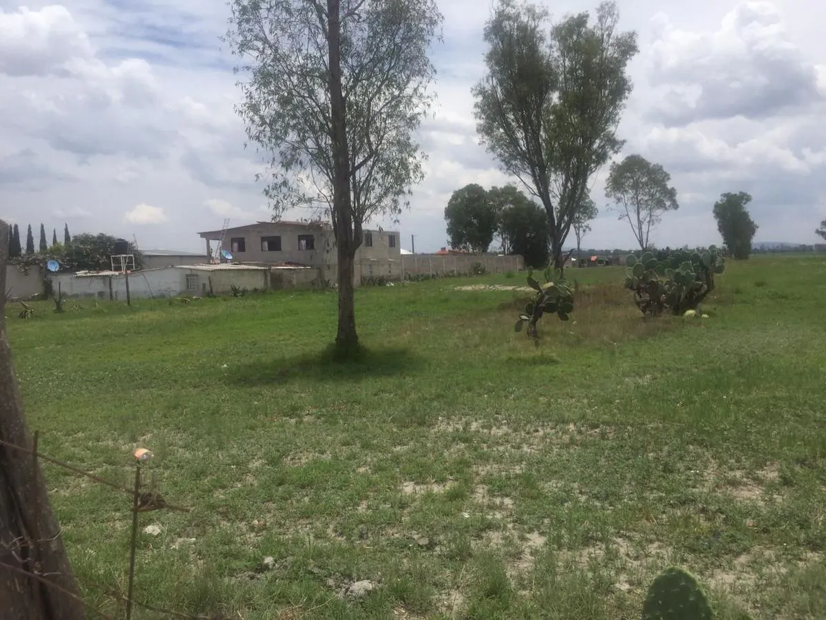 Terreno Spot2