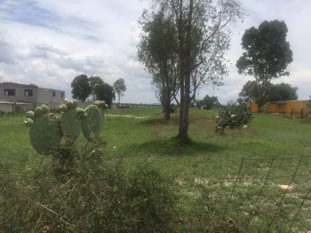 Terreno Spot2