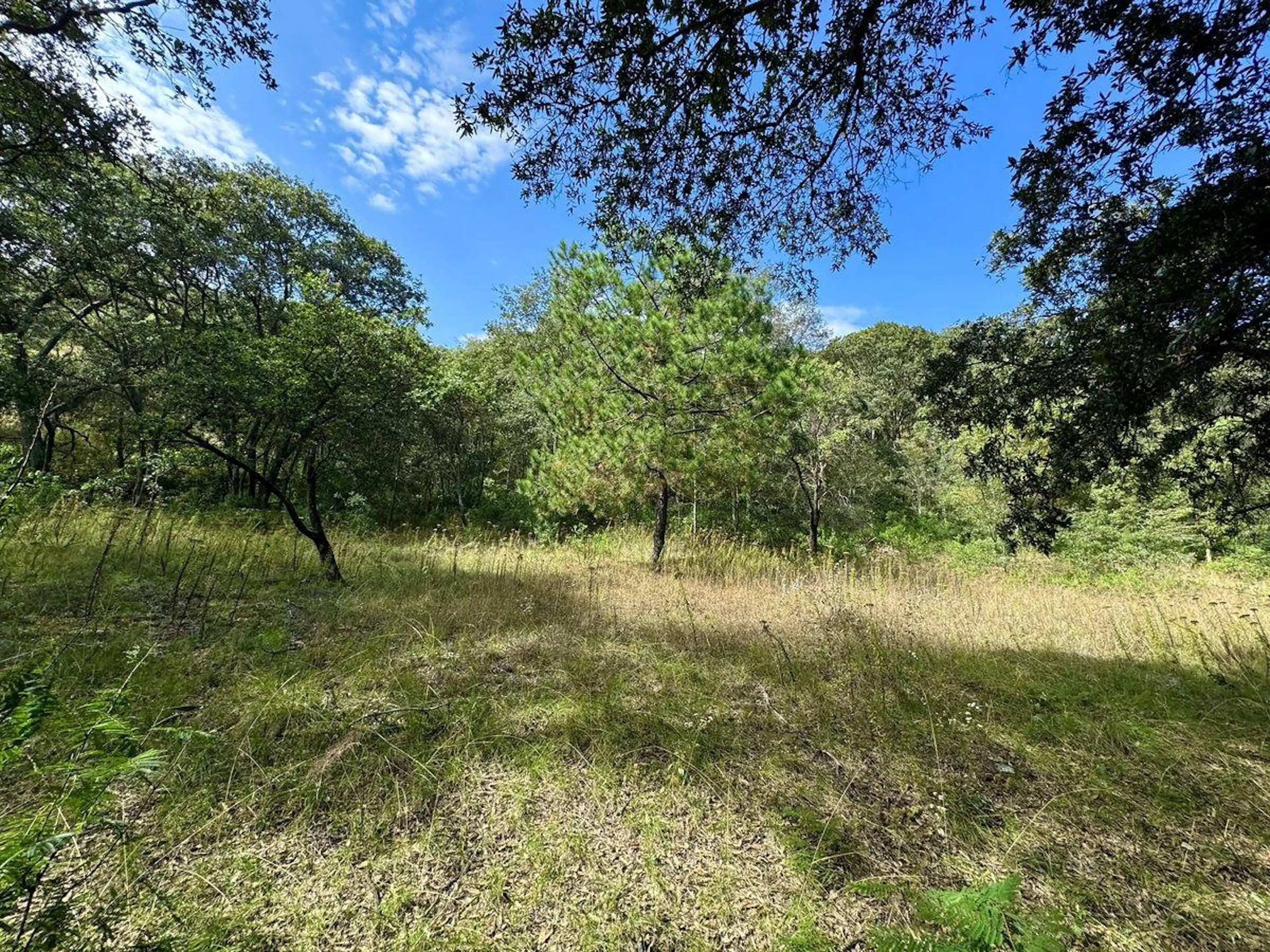VENTA TERRENO LOTE 75 MZ 6, FRACCIONAMIENTO CAMPESTRE, VILLA DEL CARBÓN