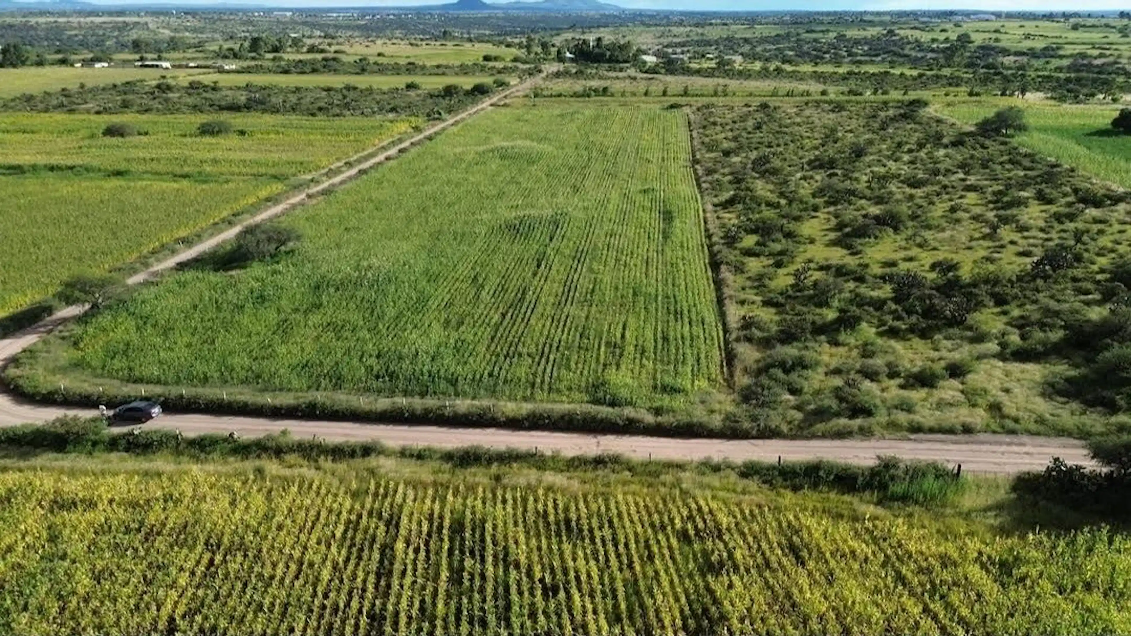 🪵venta De Terreno El Socorro