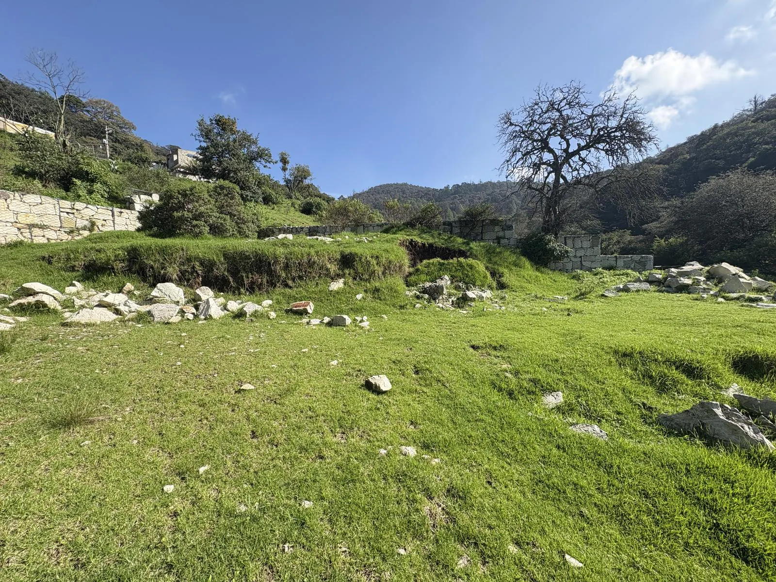 Terreno Spot2