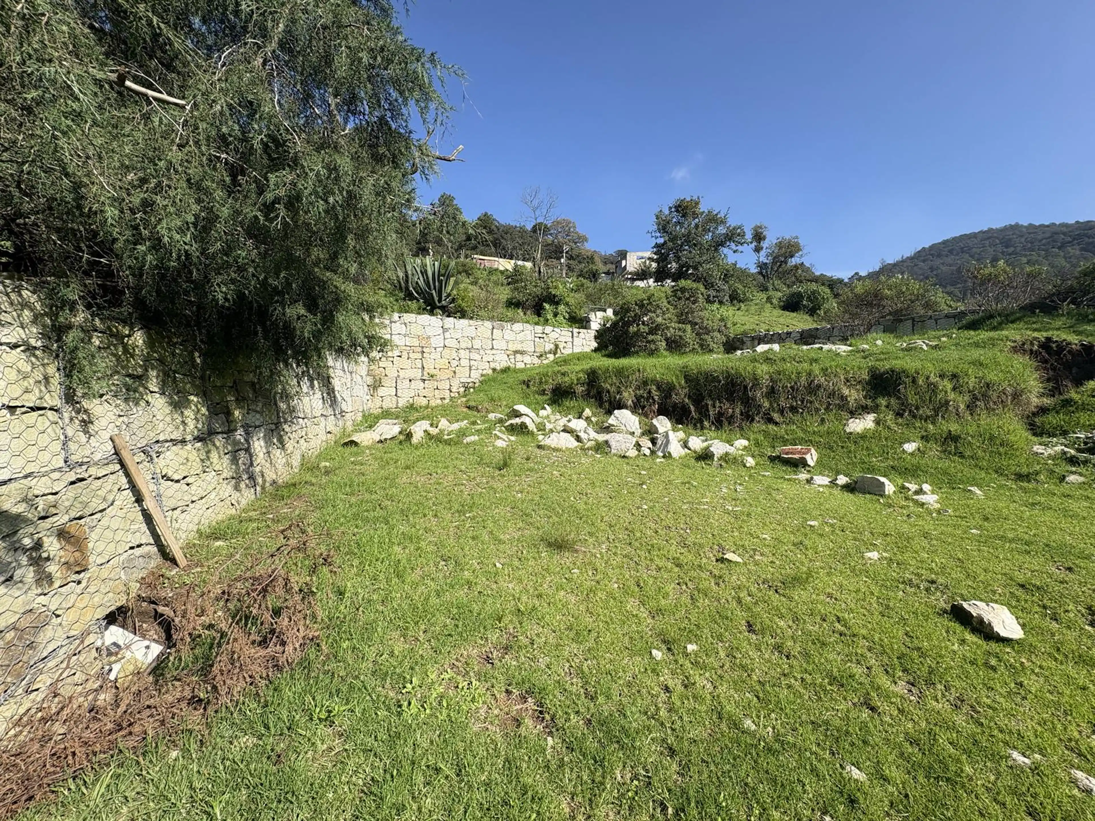 Terreno en Fraccionamiento Bosques de San Cayetano