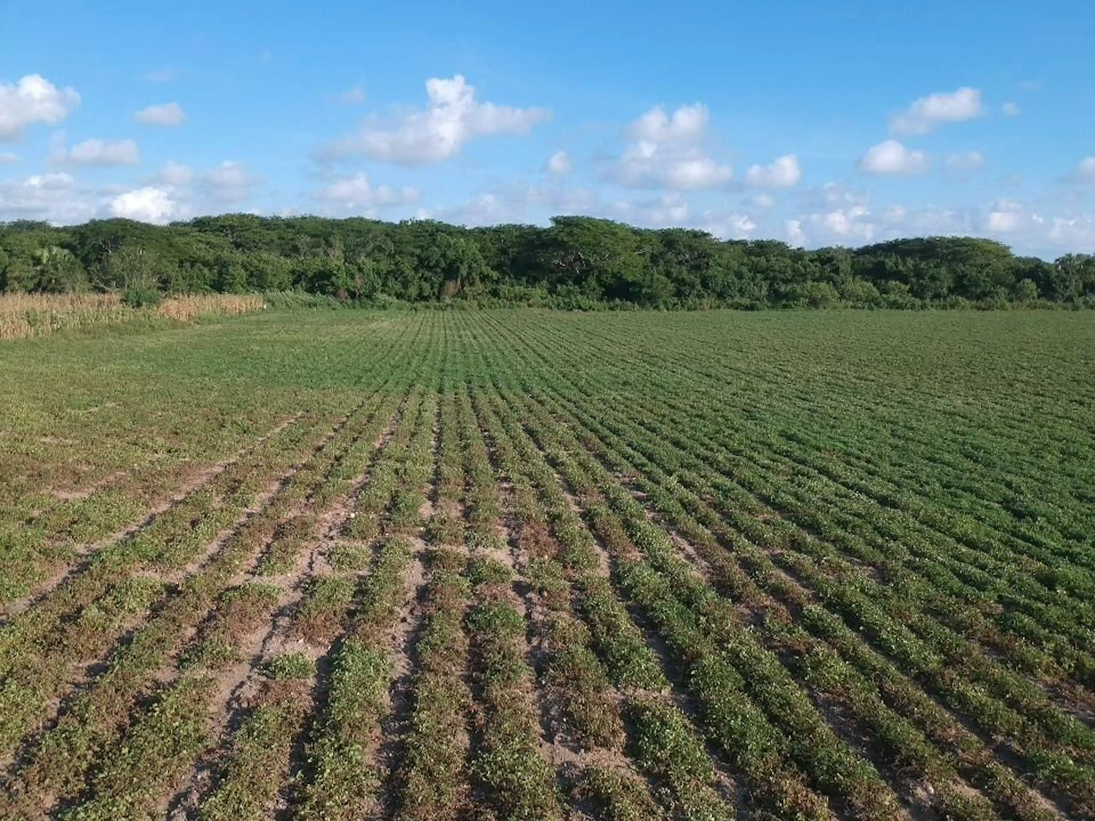 Terreno En Venta En Oaxaca