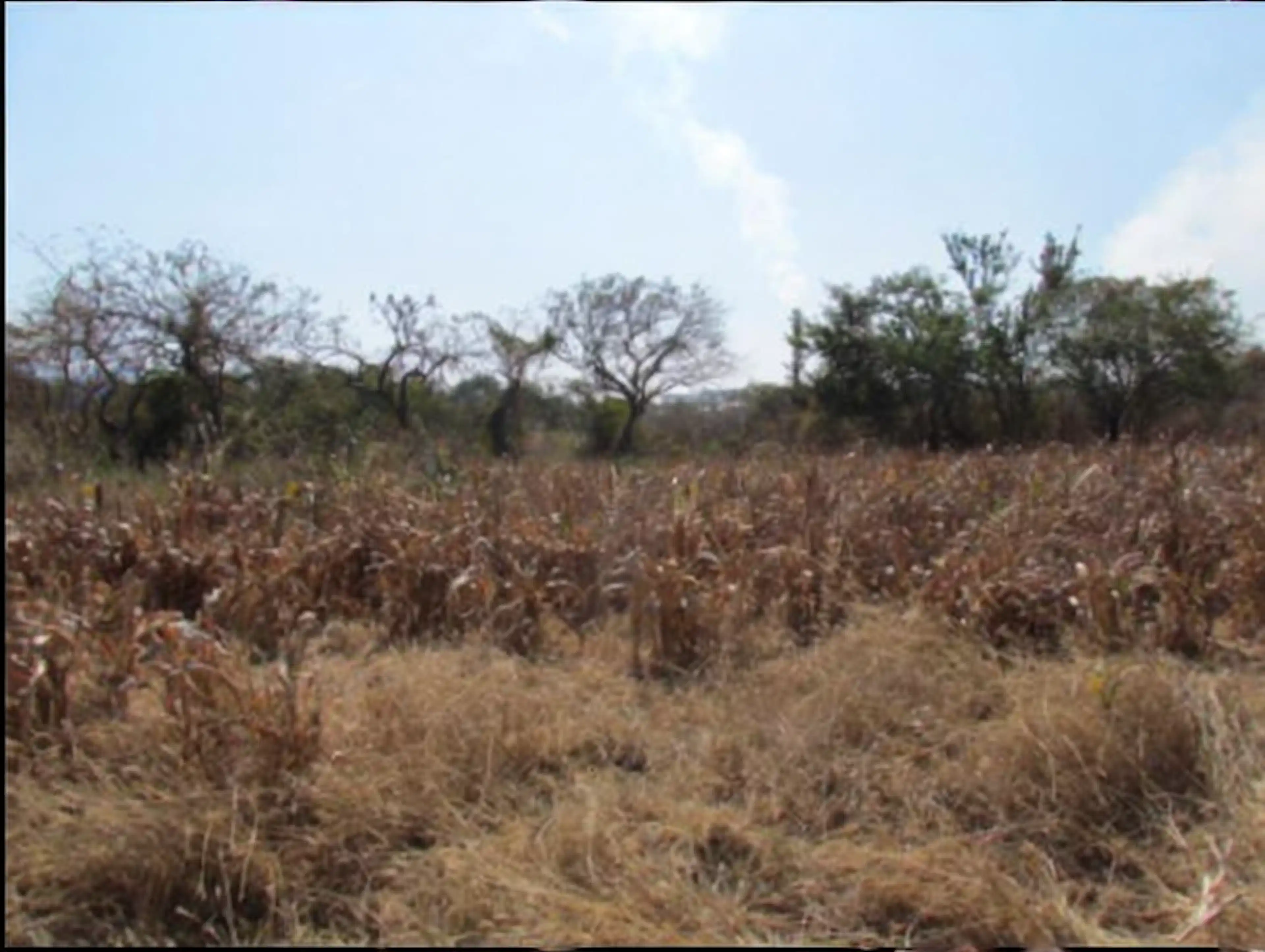 Terreno En Venta En Morelos, Ayala