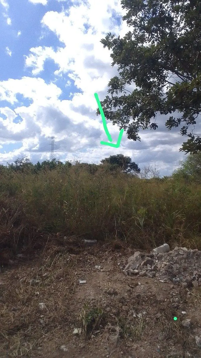 Terreno Spot2