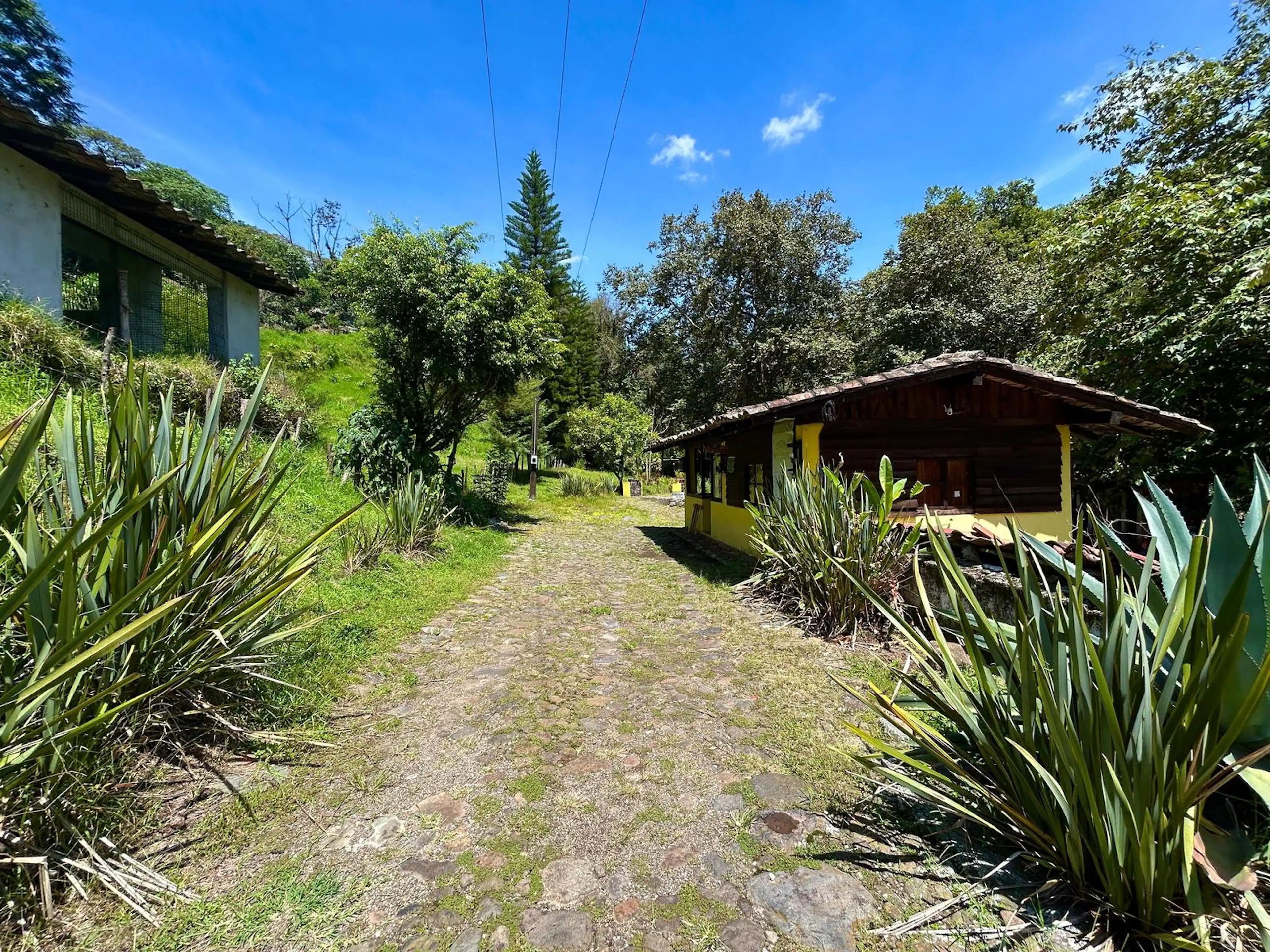 TERRENO EN VENTA CON CABAÑAS EN XICO VERACRUZ