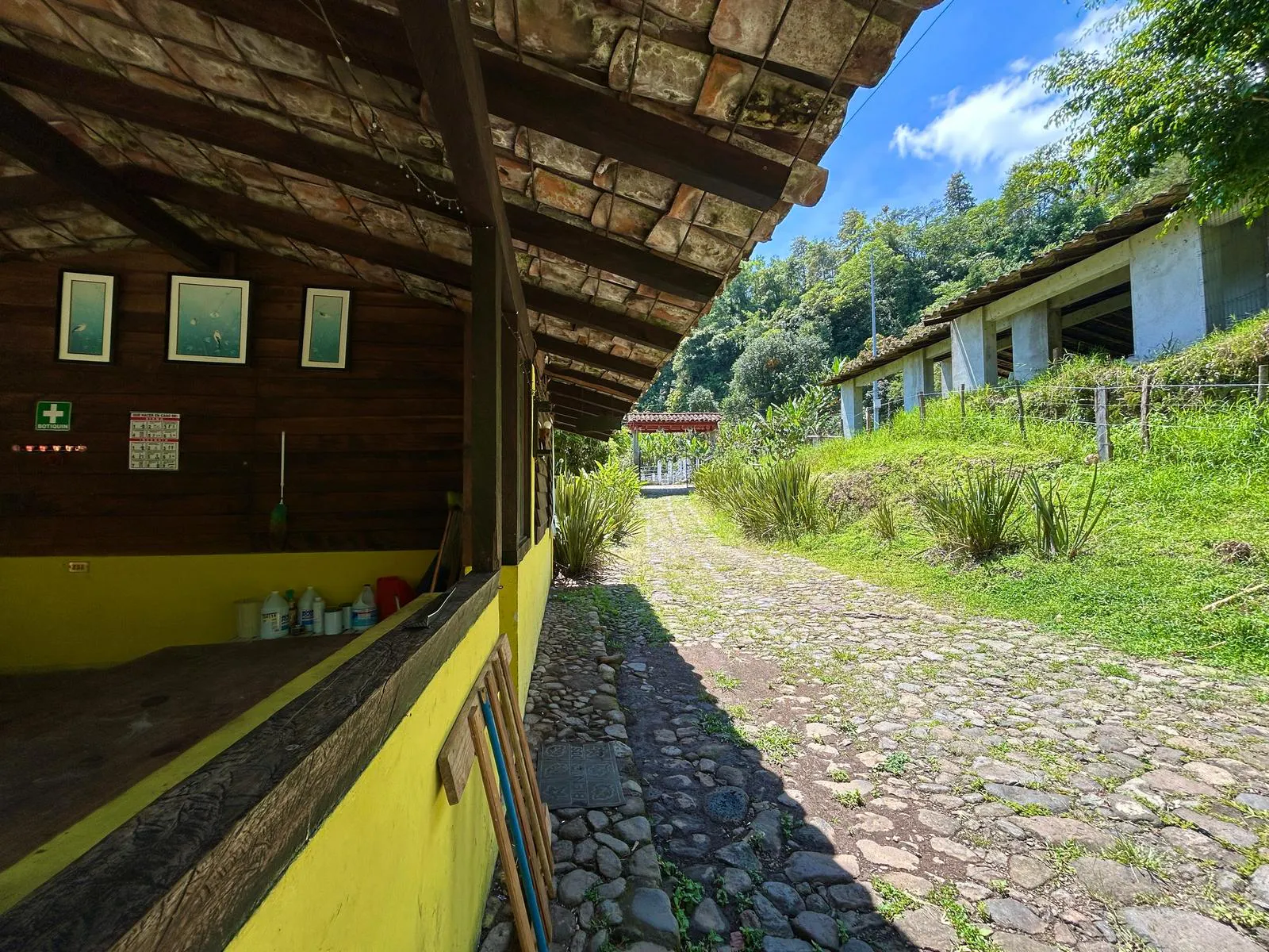 Terreno Spot2