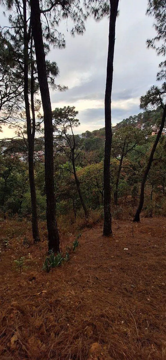 Terreno Spot2