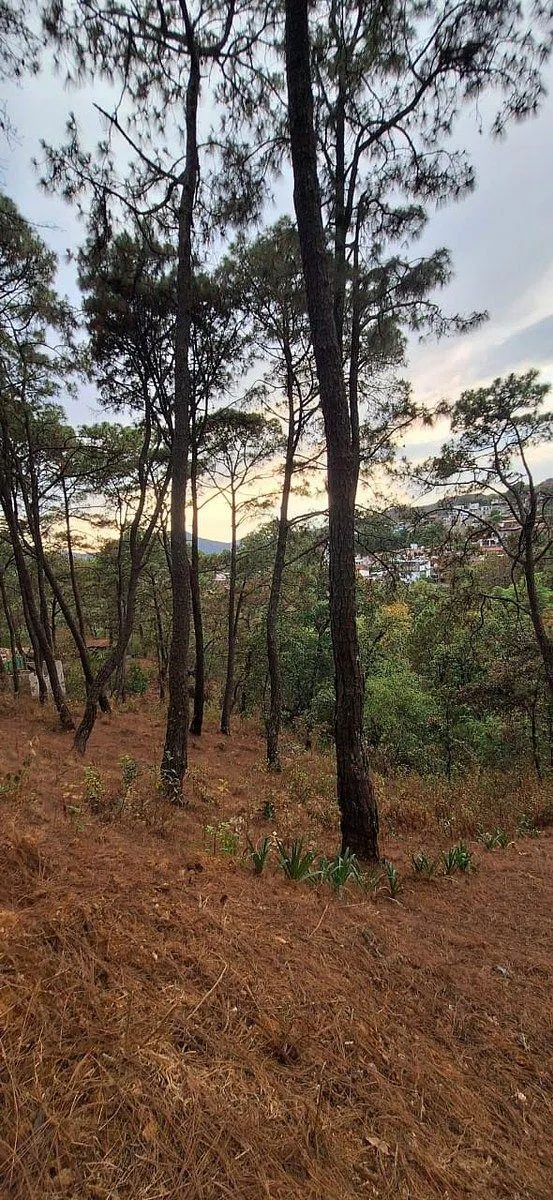 Terreno Spot2
