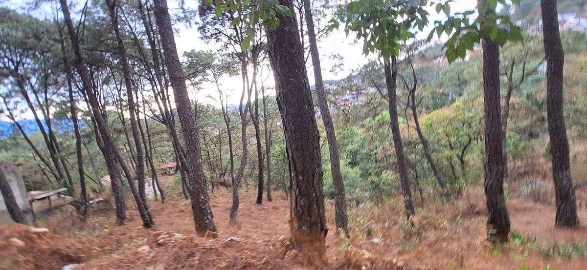 Terreno Spot2