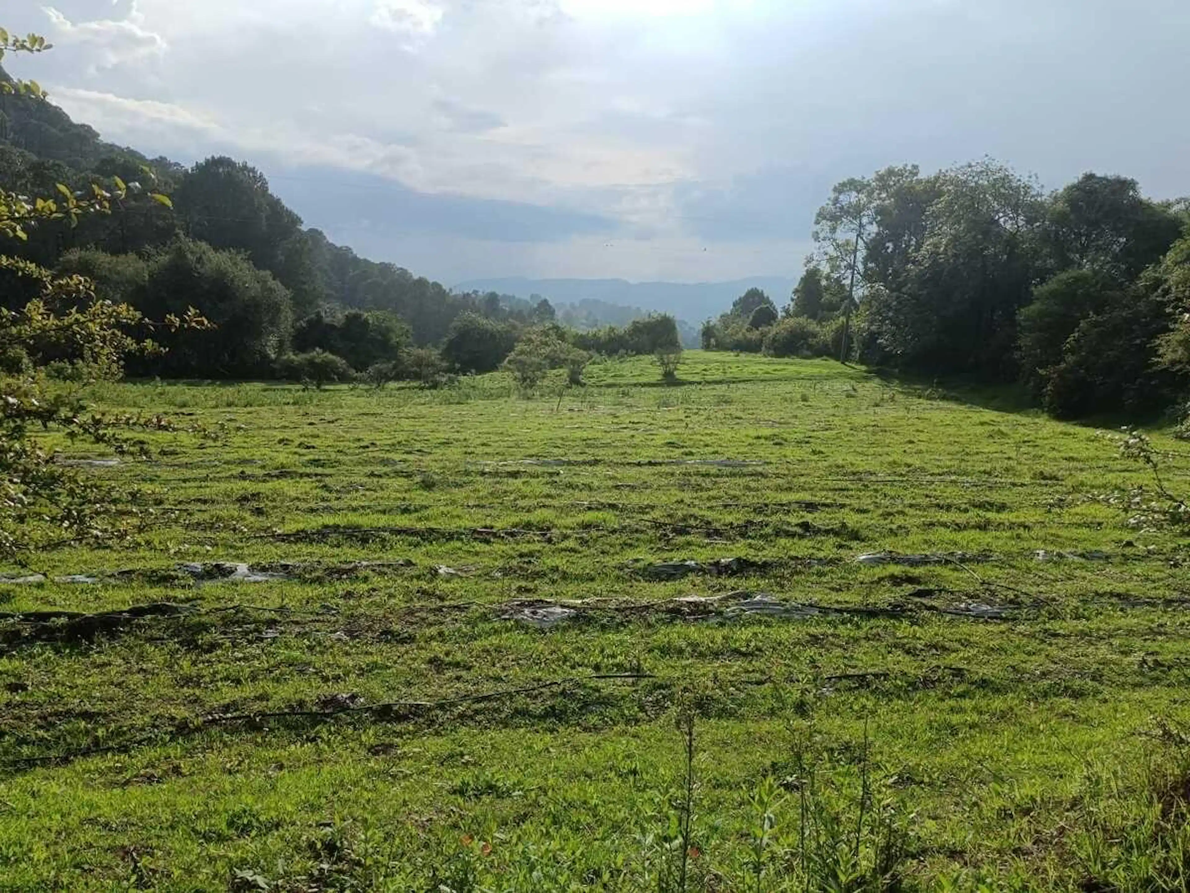 Terreno en Venta – San Jerónimo, Amanalco