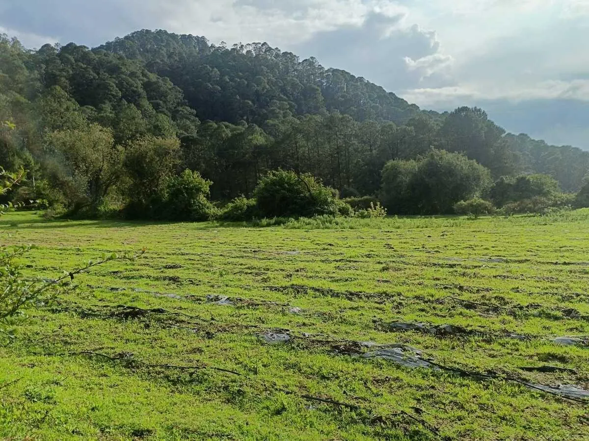 Terreno Spot2