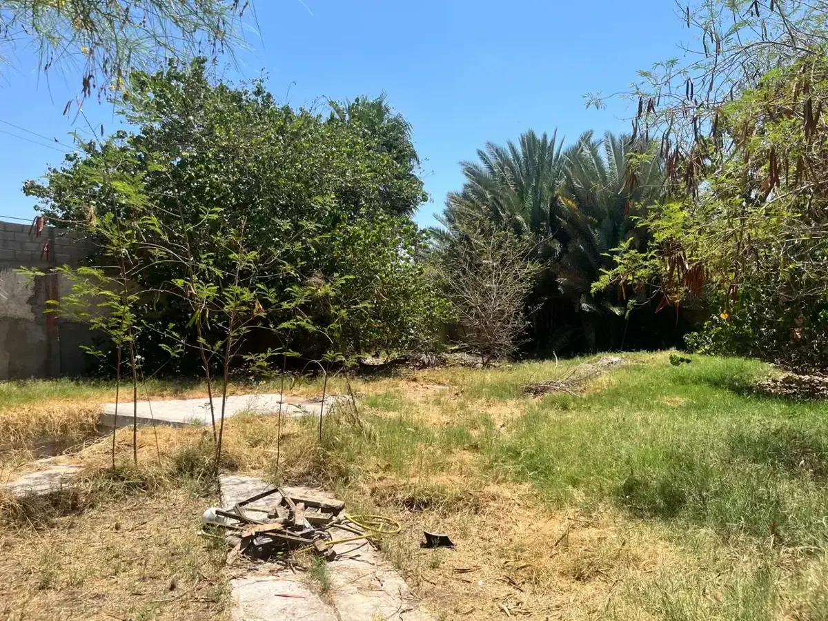 Terreno Spot2