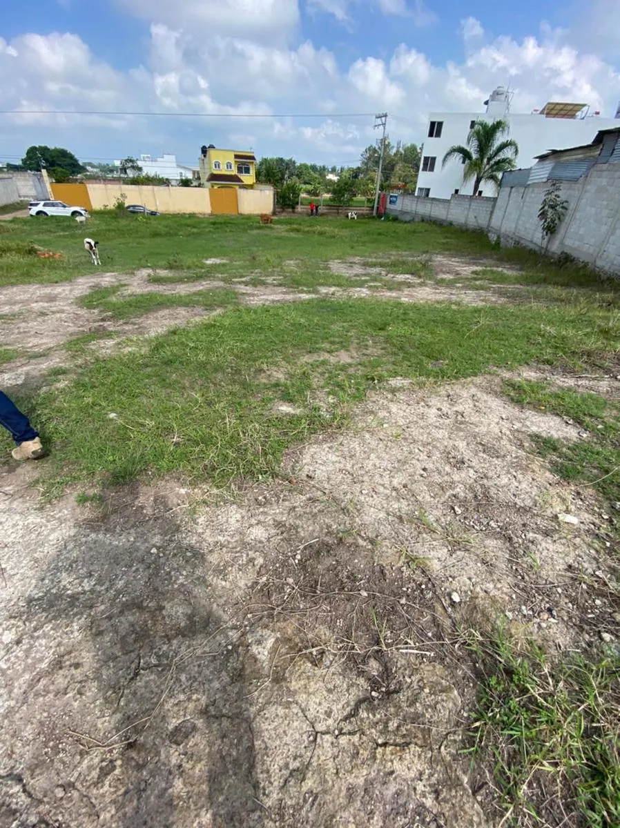 Terreno Spot2