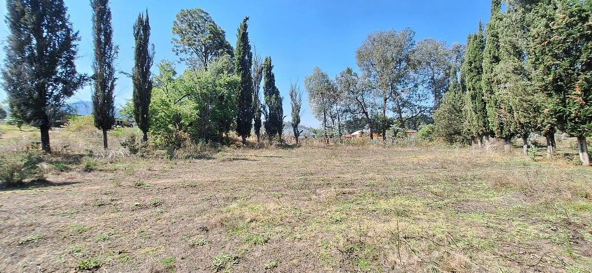 Terreno Spot2