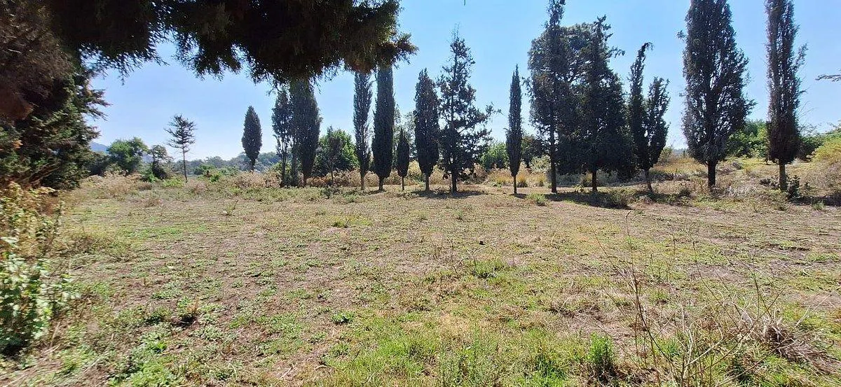 Terreno Spot2