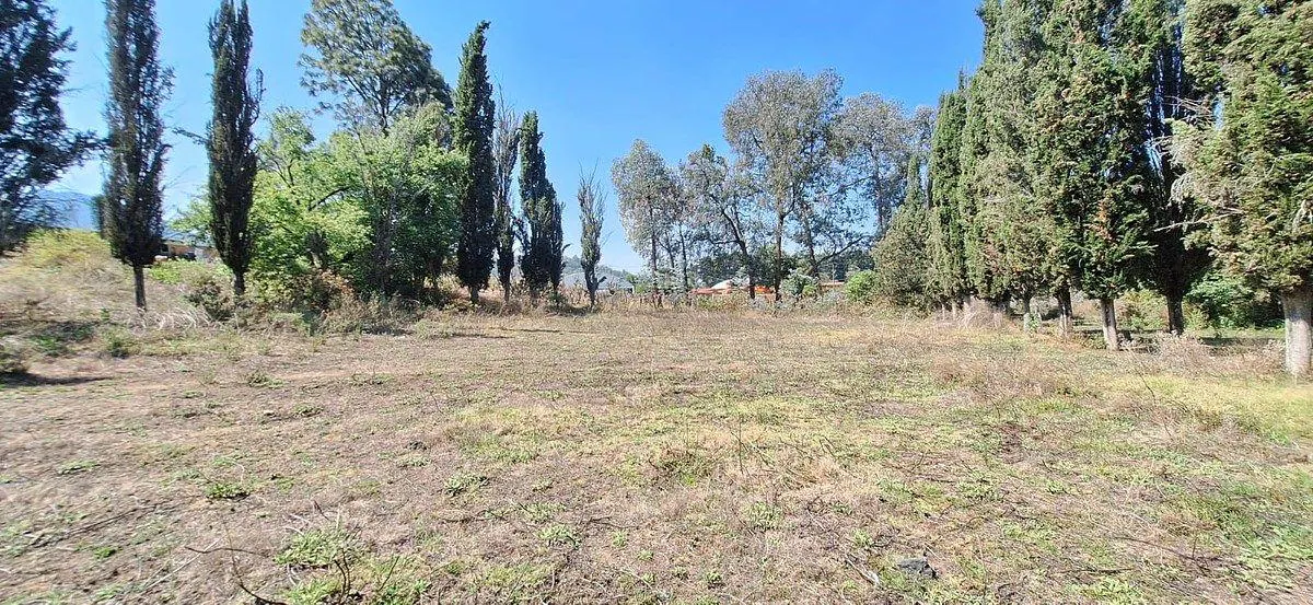 Terreno Spot2