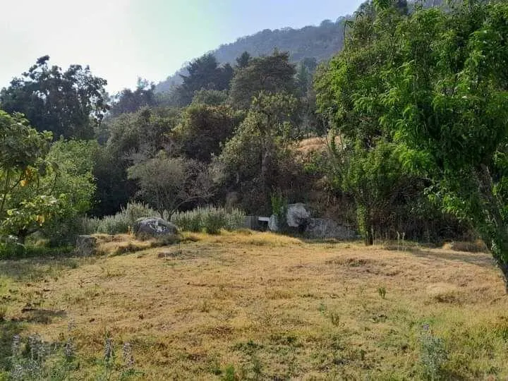 Terreno Spot2