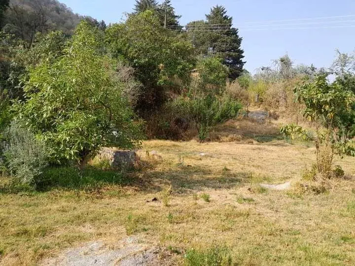 Terreno Spot2