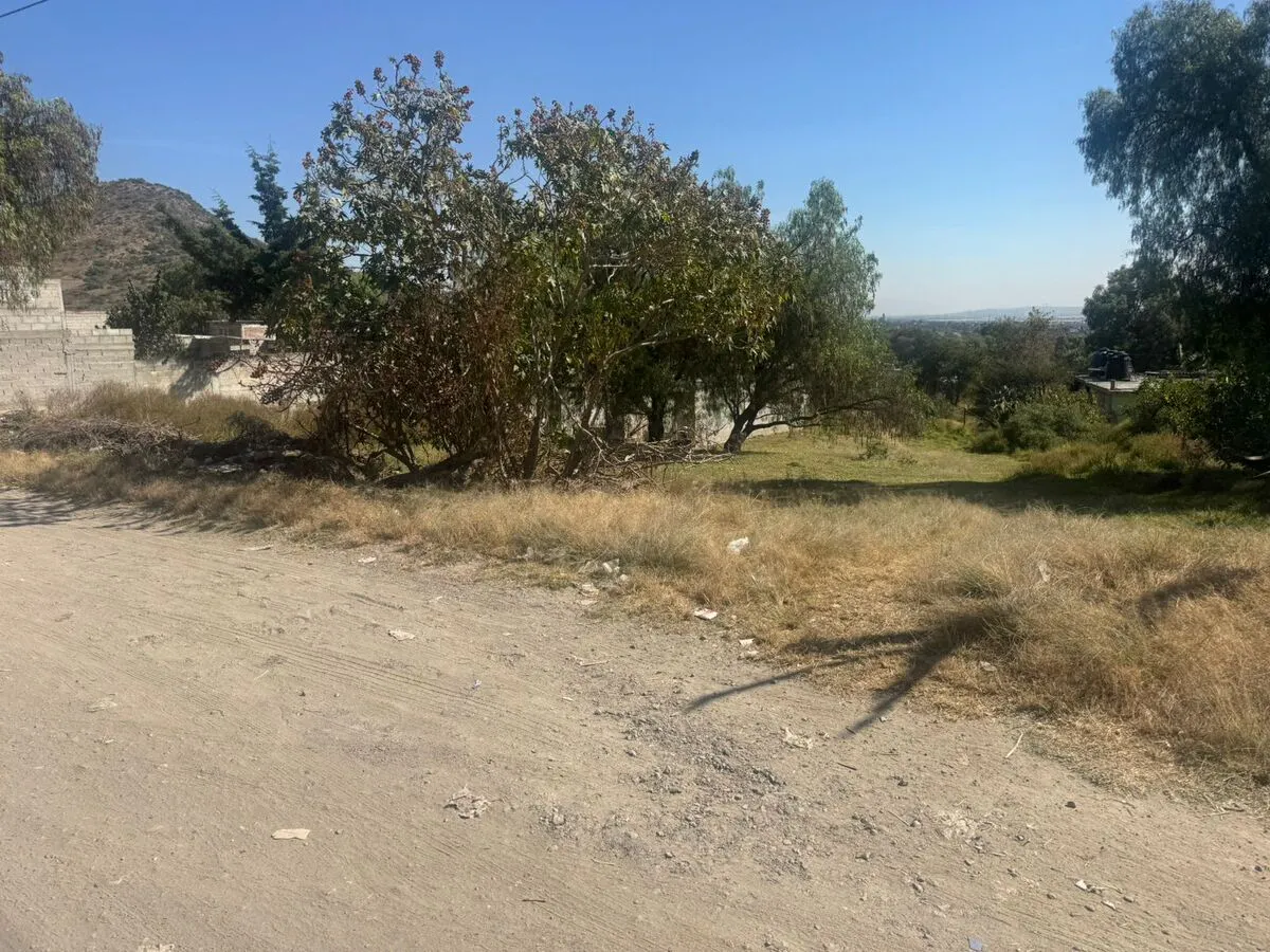 Terreno Spot2