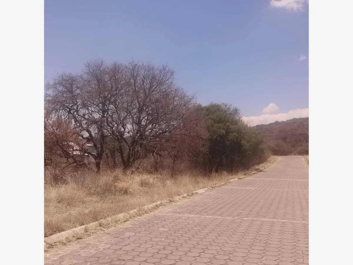 Terreno Spot2
