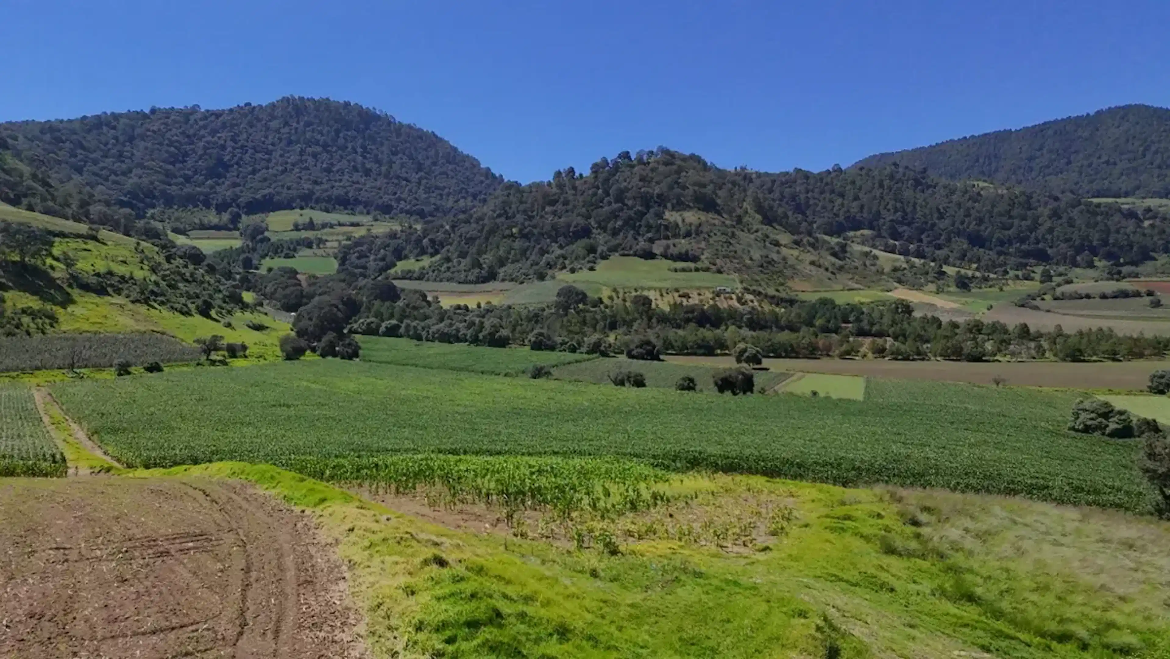 Terreno en venta en Santiaguito Cuaxustenco, Tenango del Valle, México