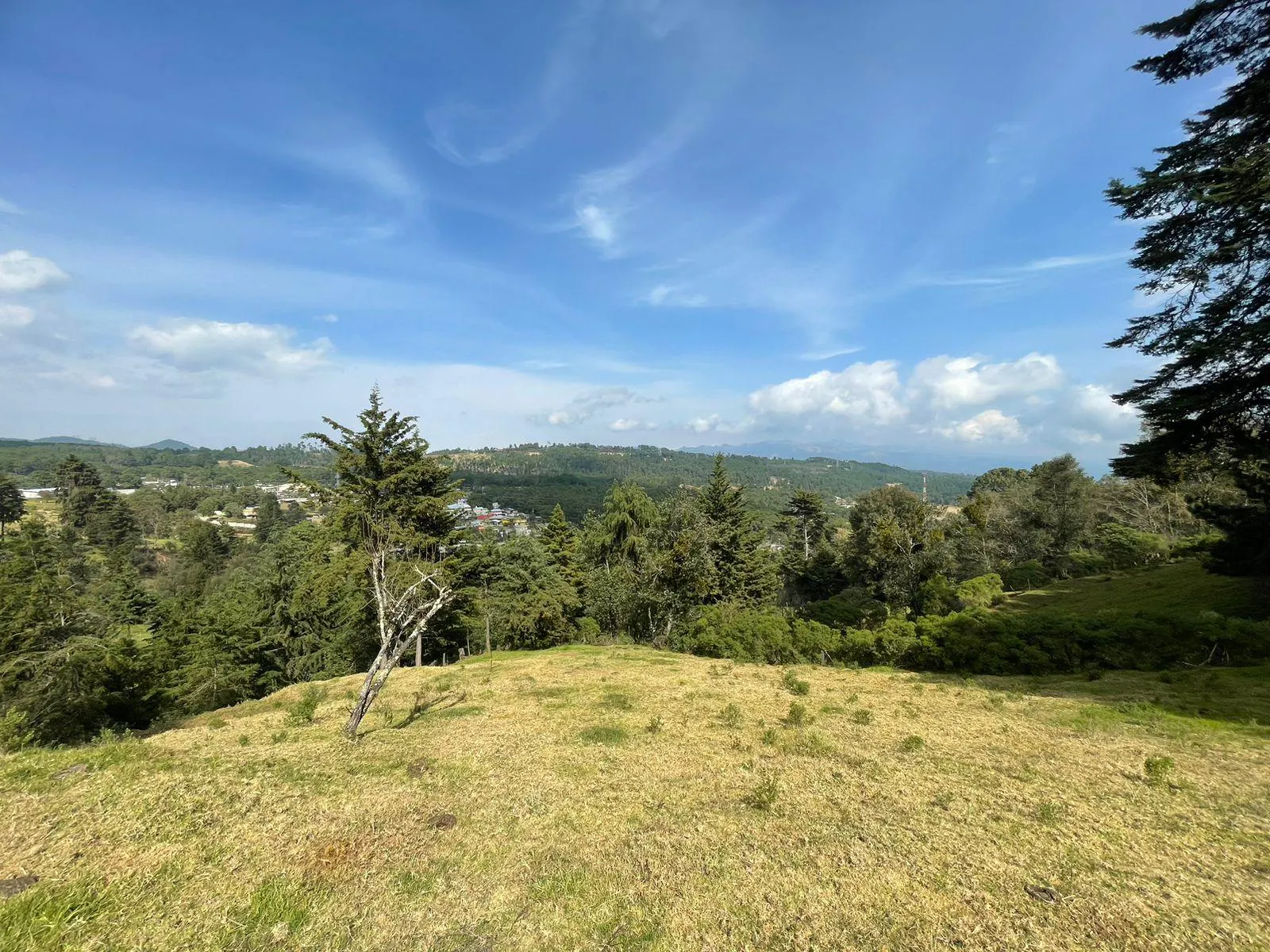 Terreno Spot2
