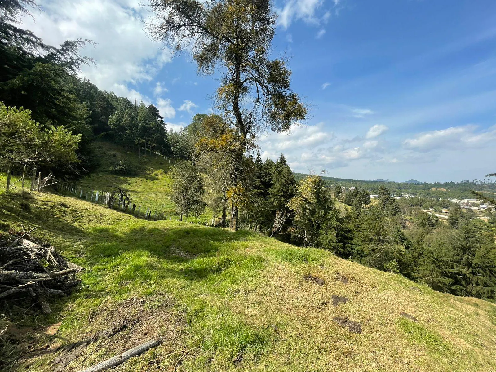 Terreno Spot2