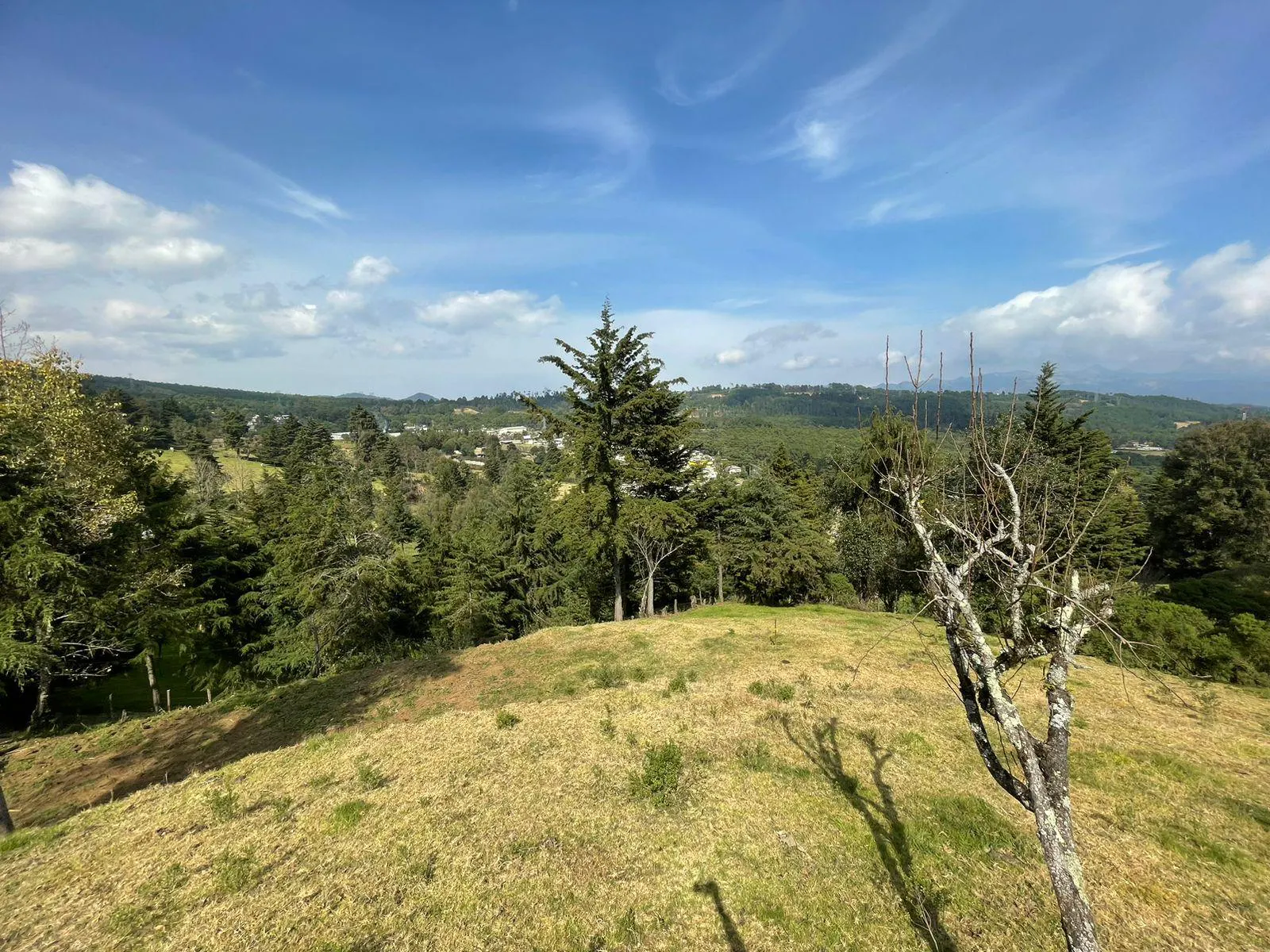 Terreno Spot2