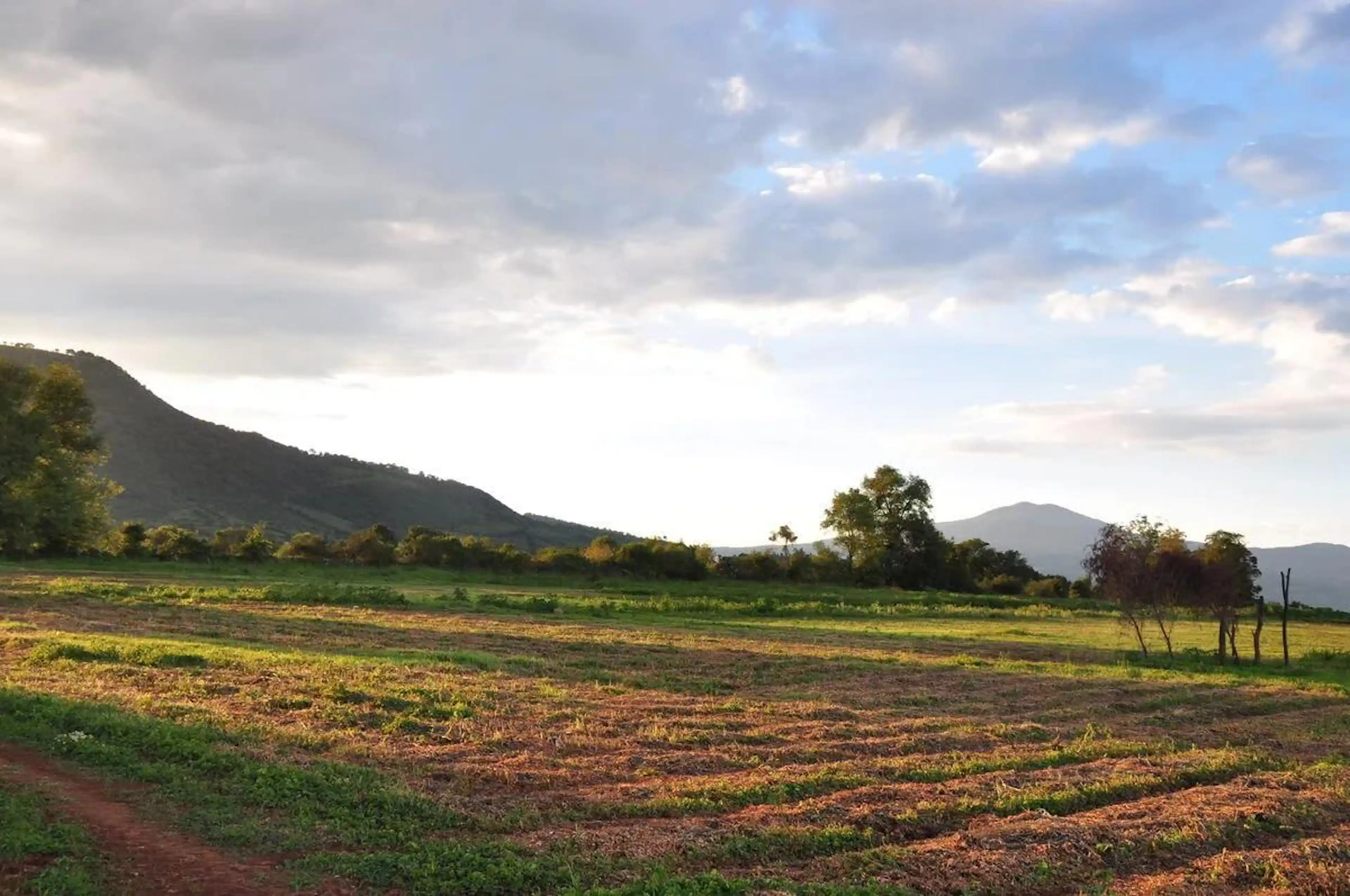 Terreno En  Venta Rancho En Tlatenchi, Tlatenchi, Jojutla