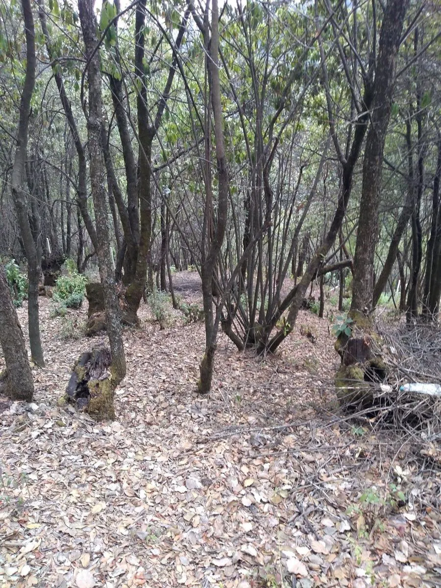 Terreno Spot2