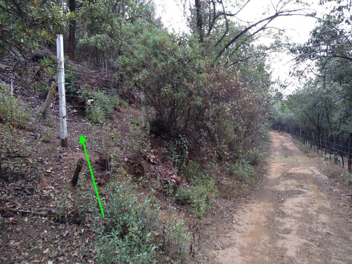 Terreno Spot2