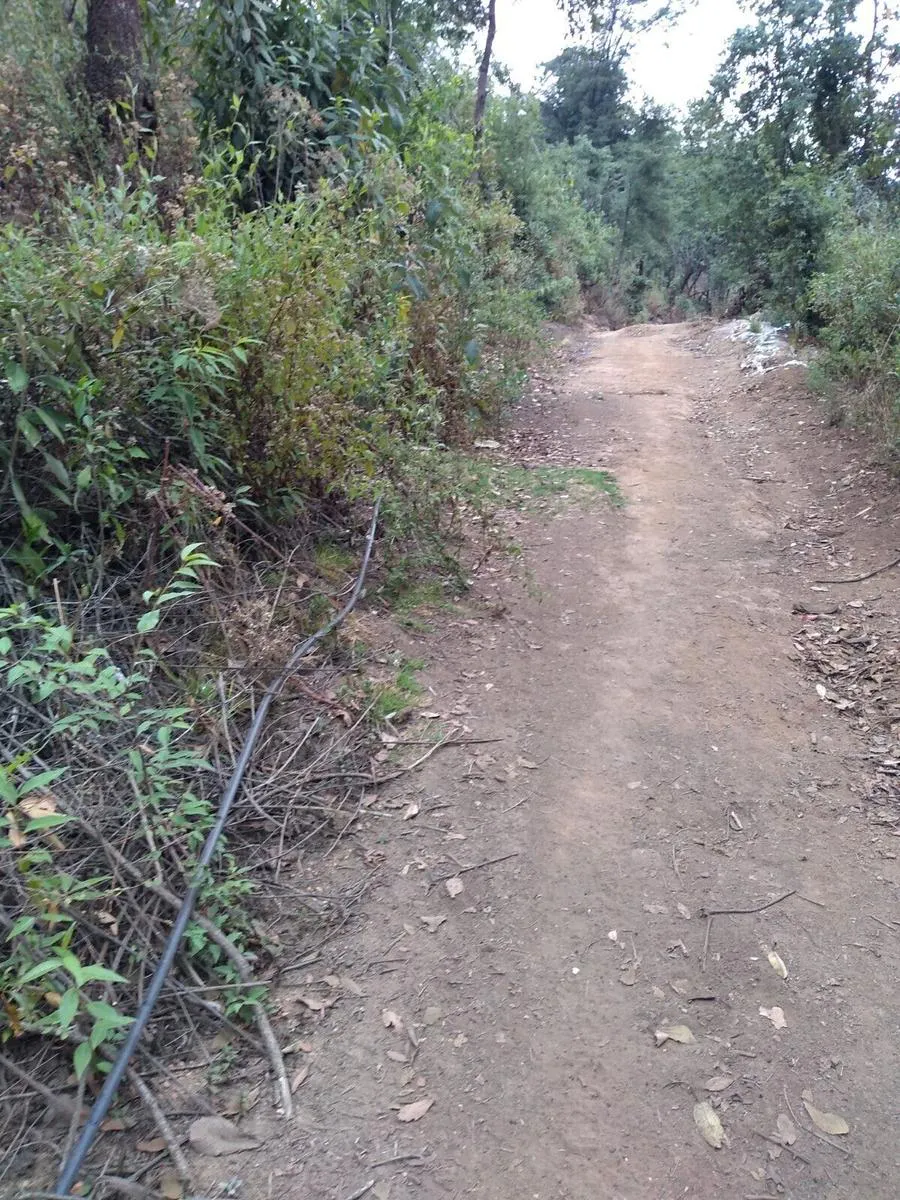 Terreno Spot2