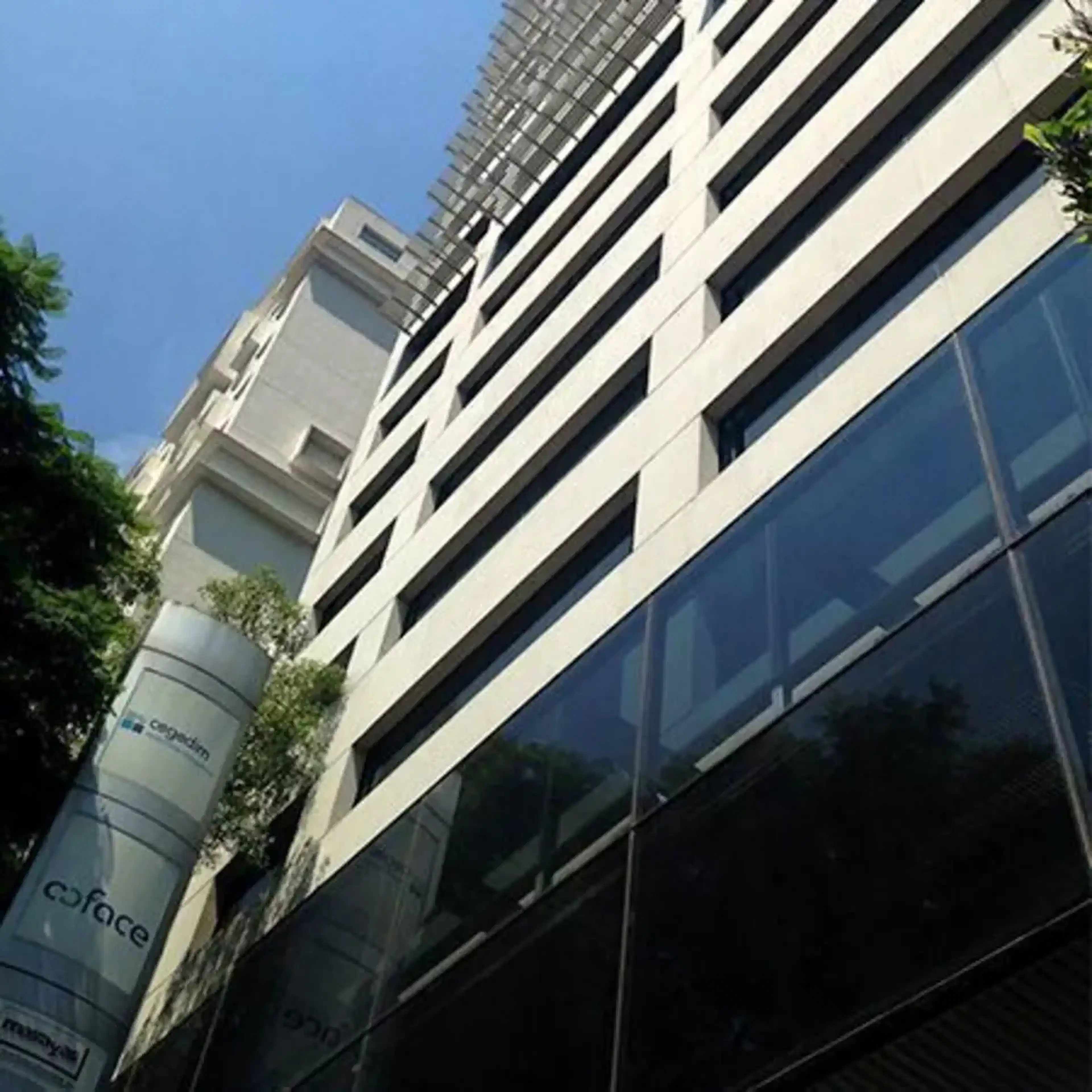 Avenida Insurgentes Sur