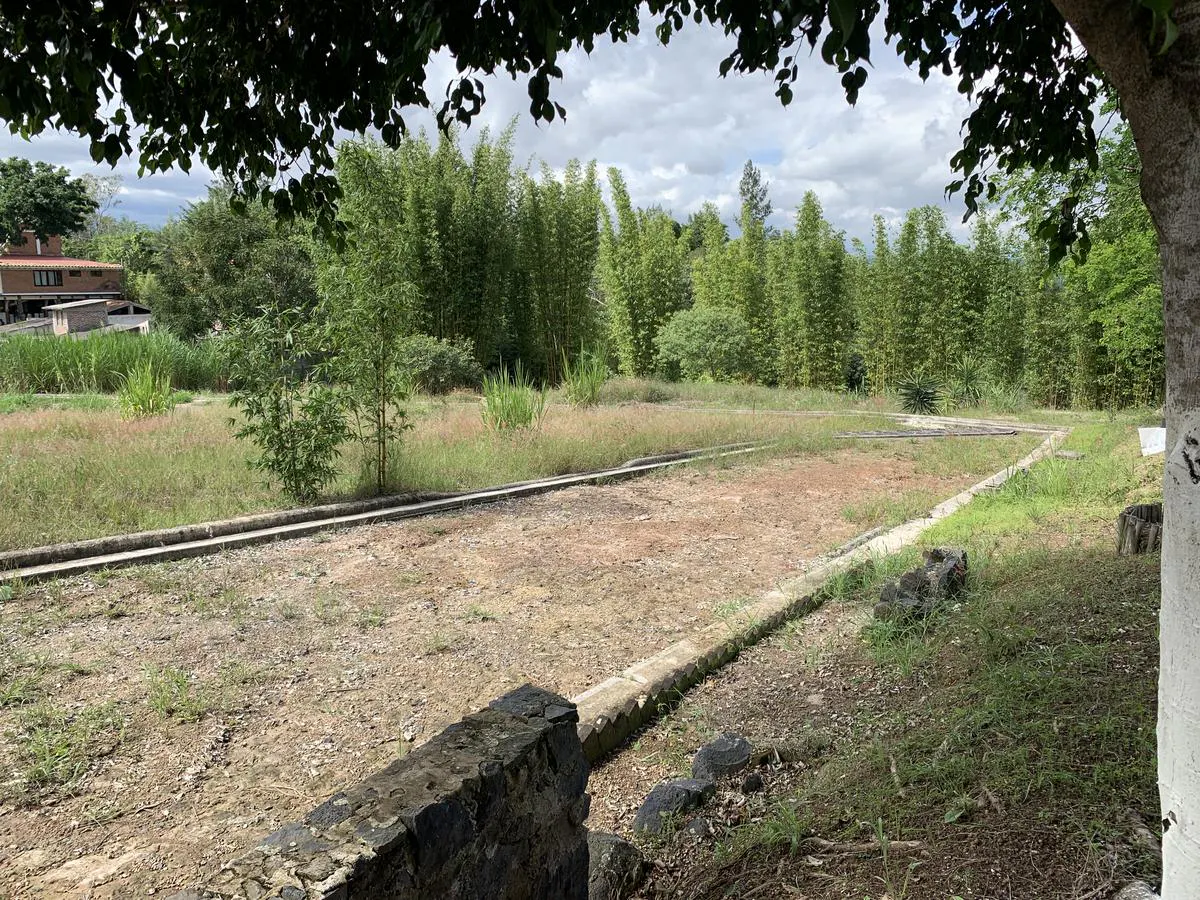 Terreno Spot2