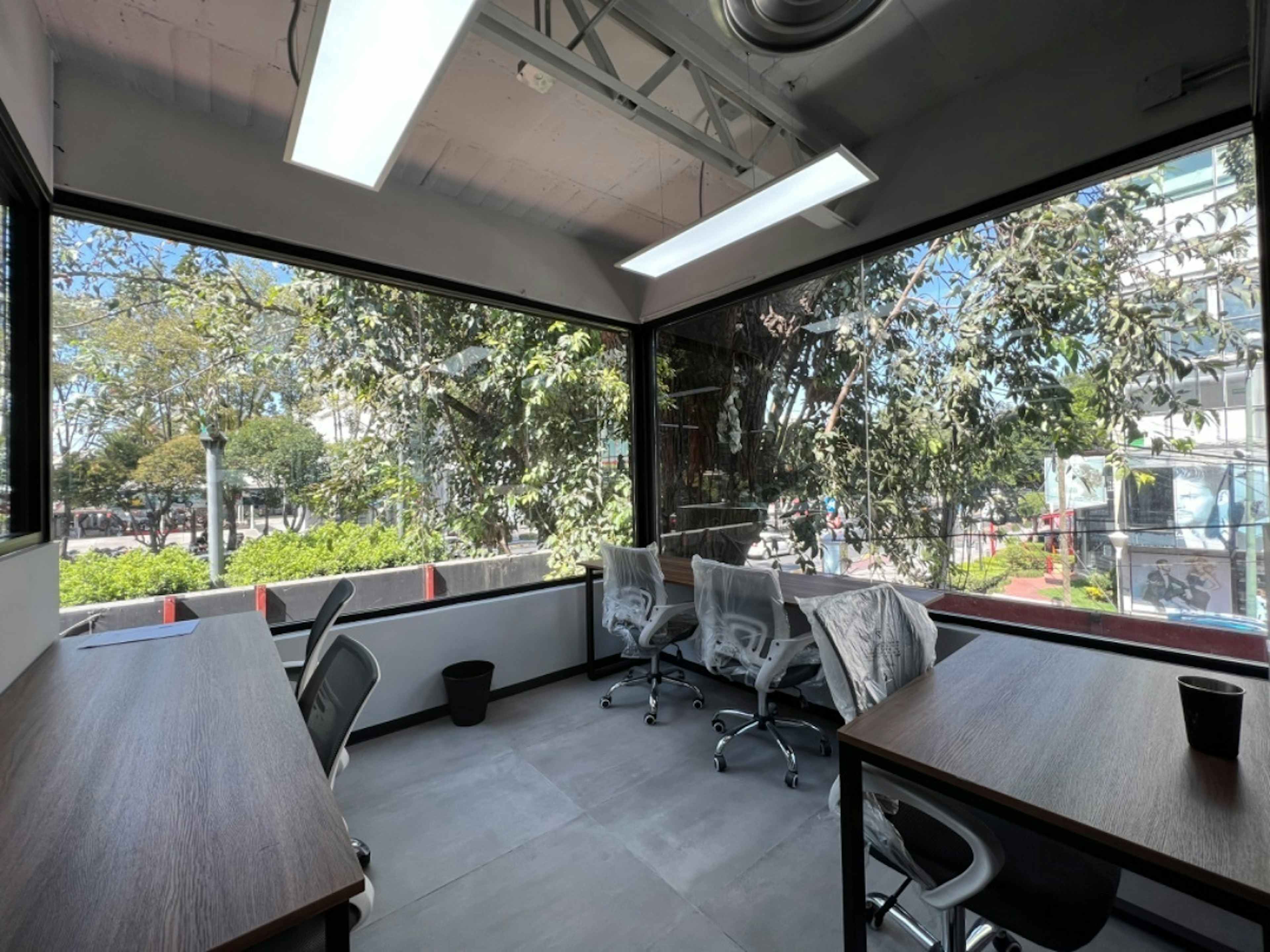 Avenida Insurgentes Centro