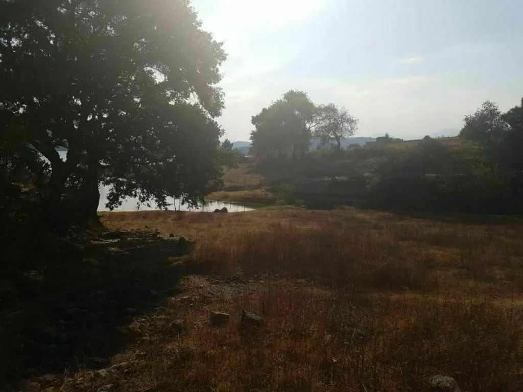 Terreno Spot2