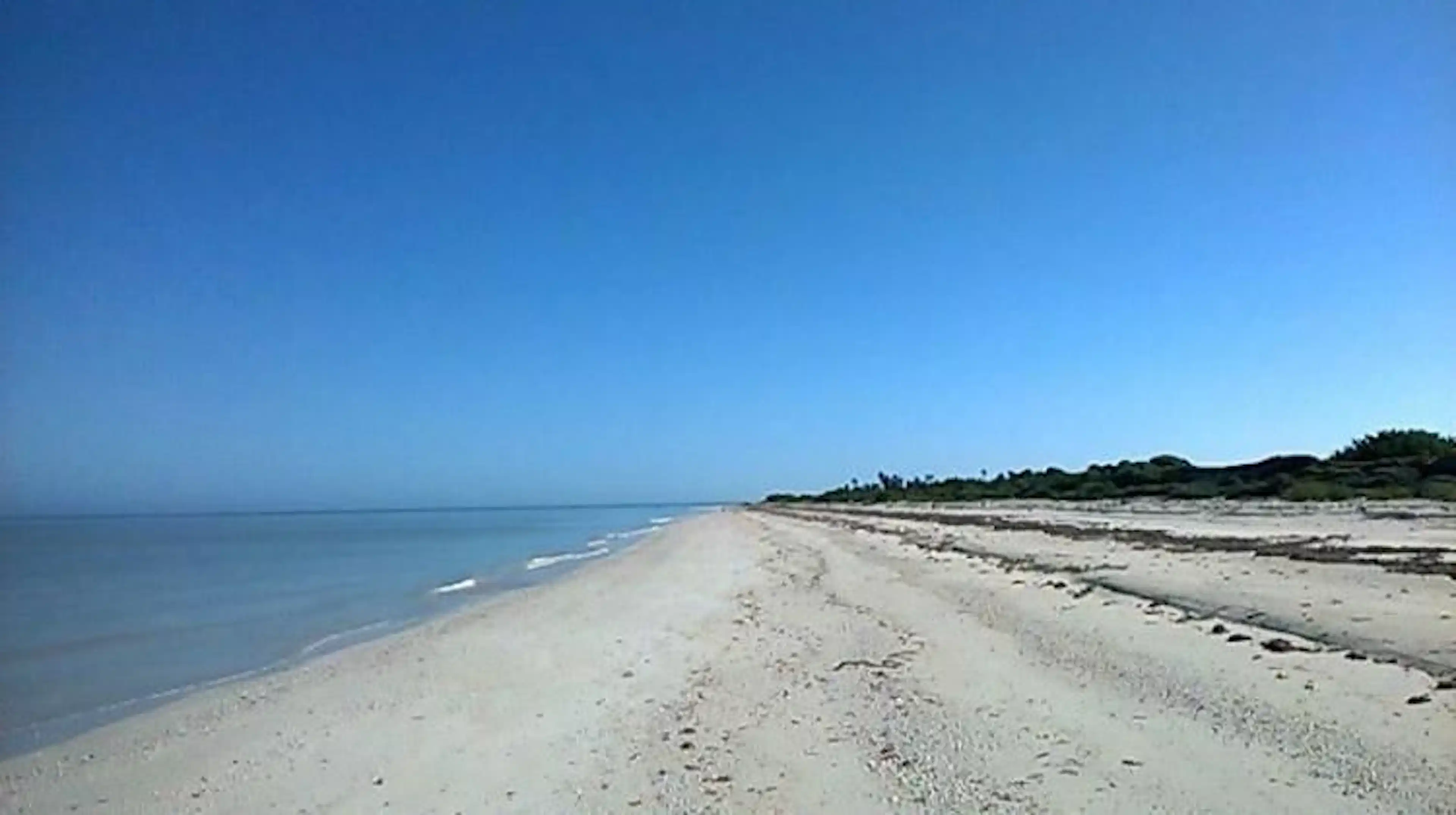 Venta De Terreno Frente Al Mar En Sisal Yuc.