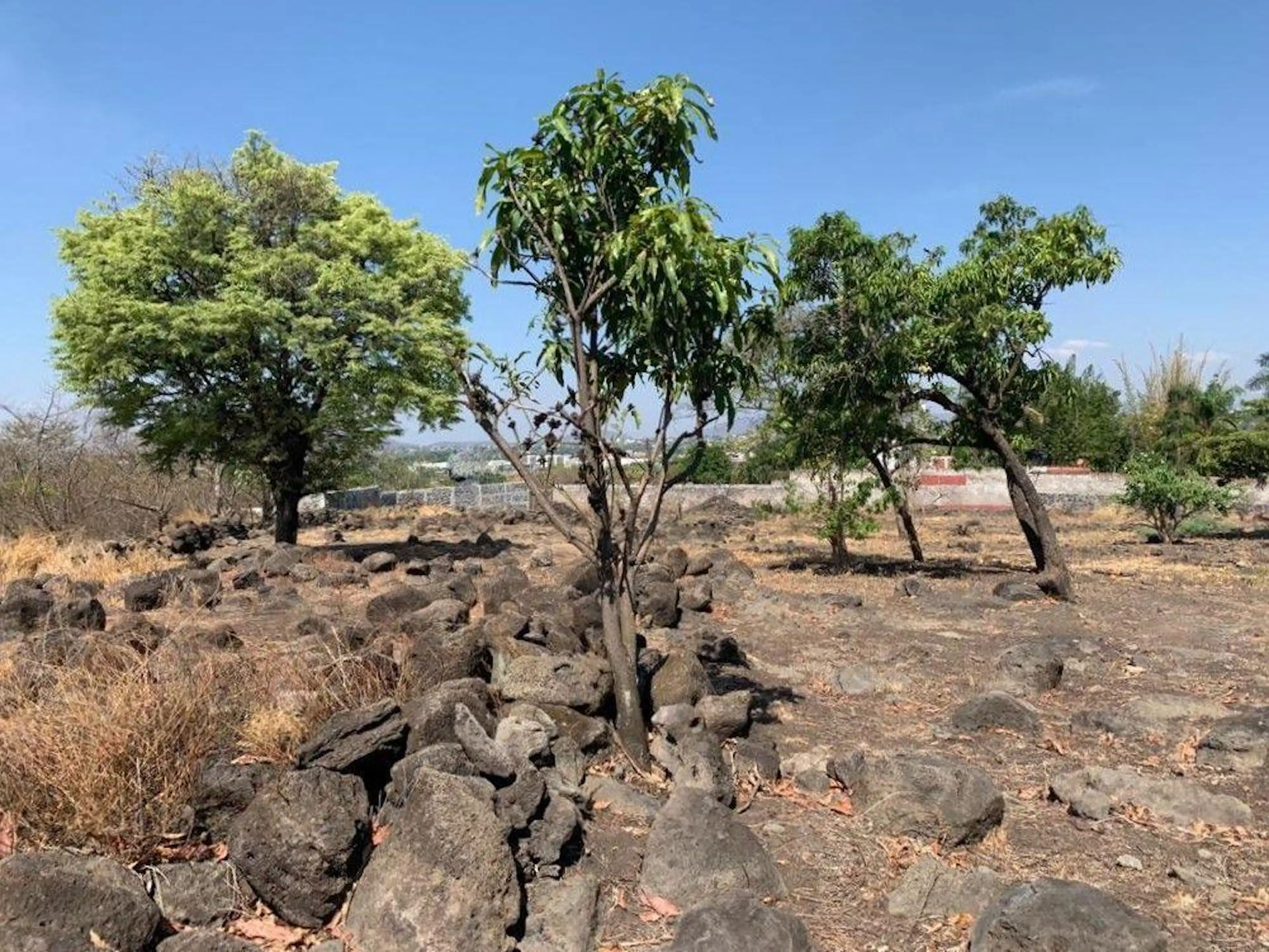 Bonito Terreno en Emiliano Zapata, Morelos 24,000 m2 Plano, Cesiòn de derechos