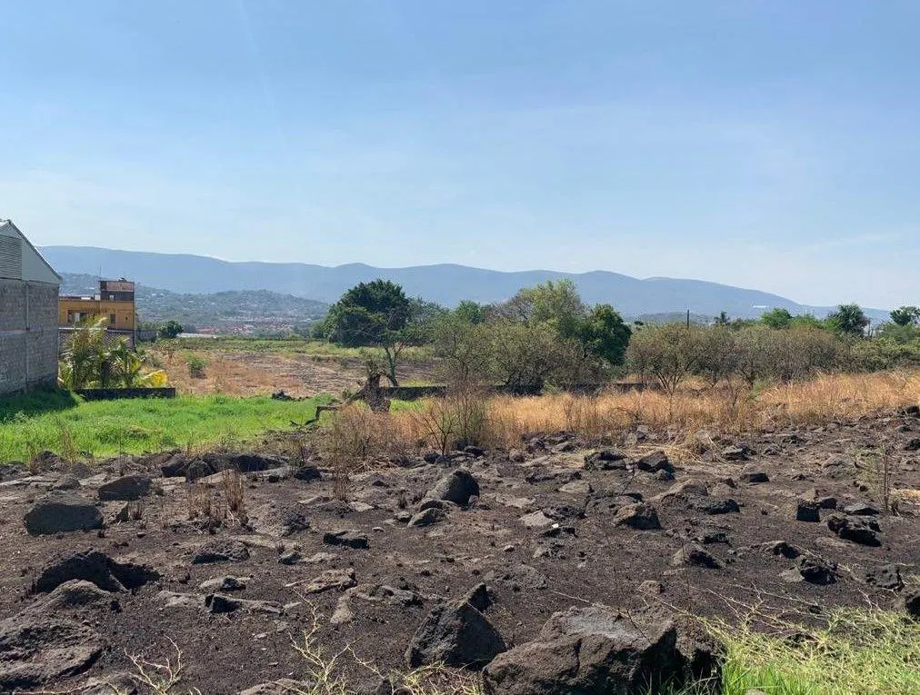 Terreno Spot2